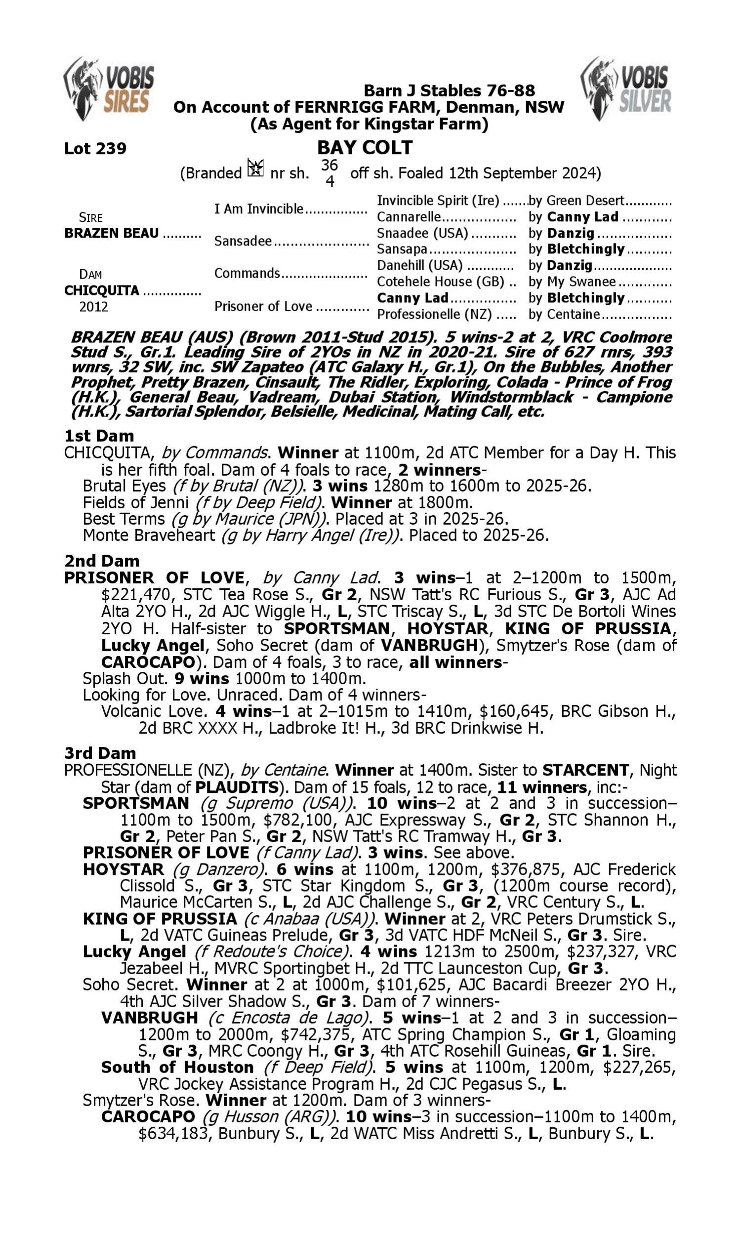 Pedigree for Lot 239 Brazen Beau - Chicquita