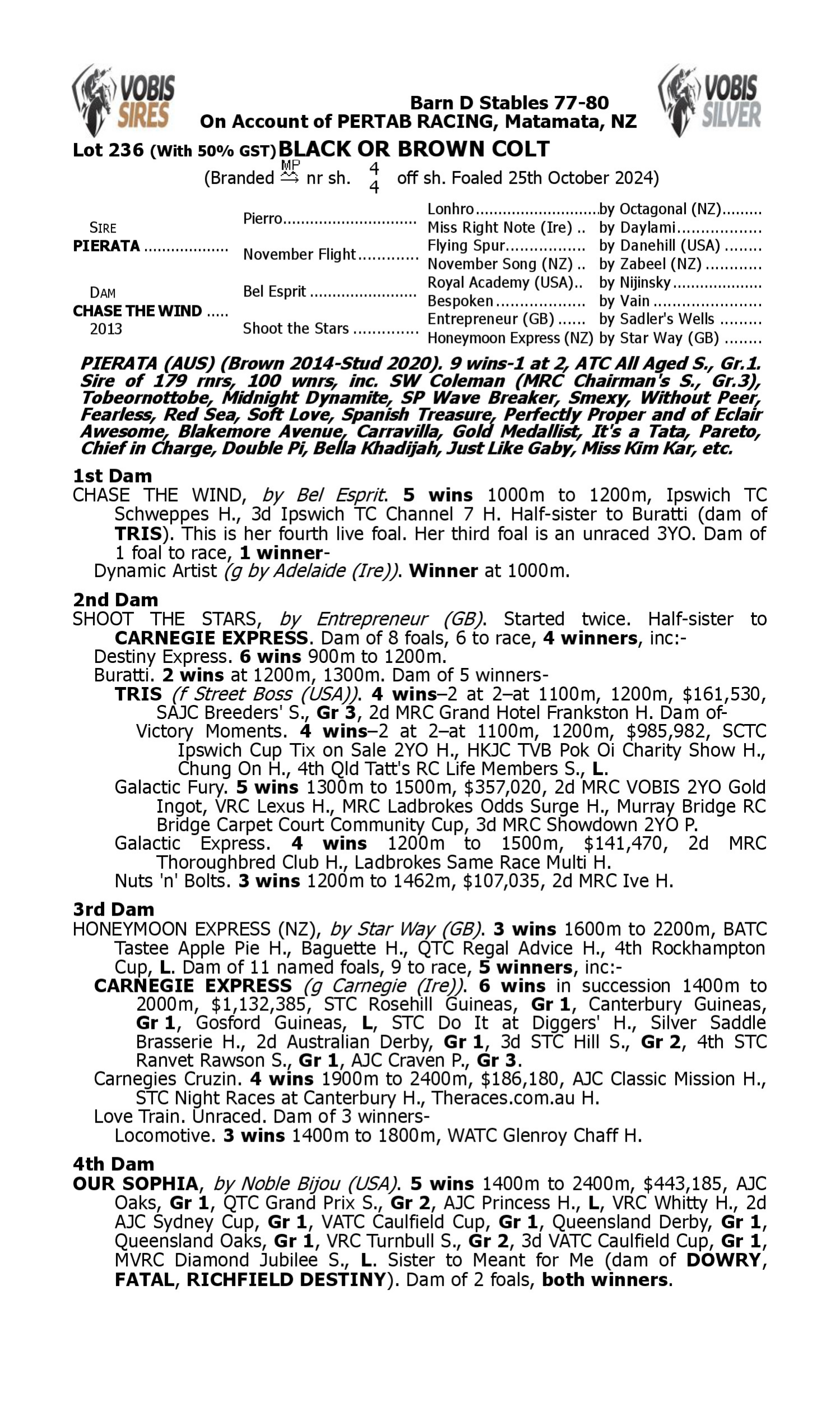 Pedigree for Lot 236 Pierata - Chase the Wind