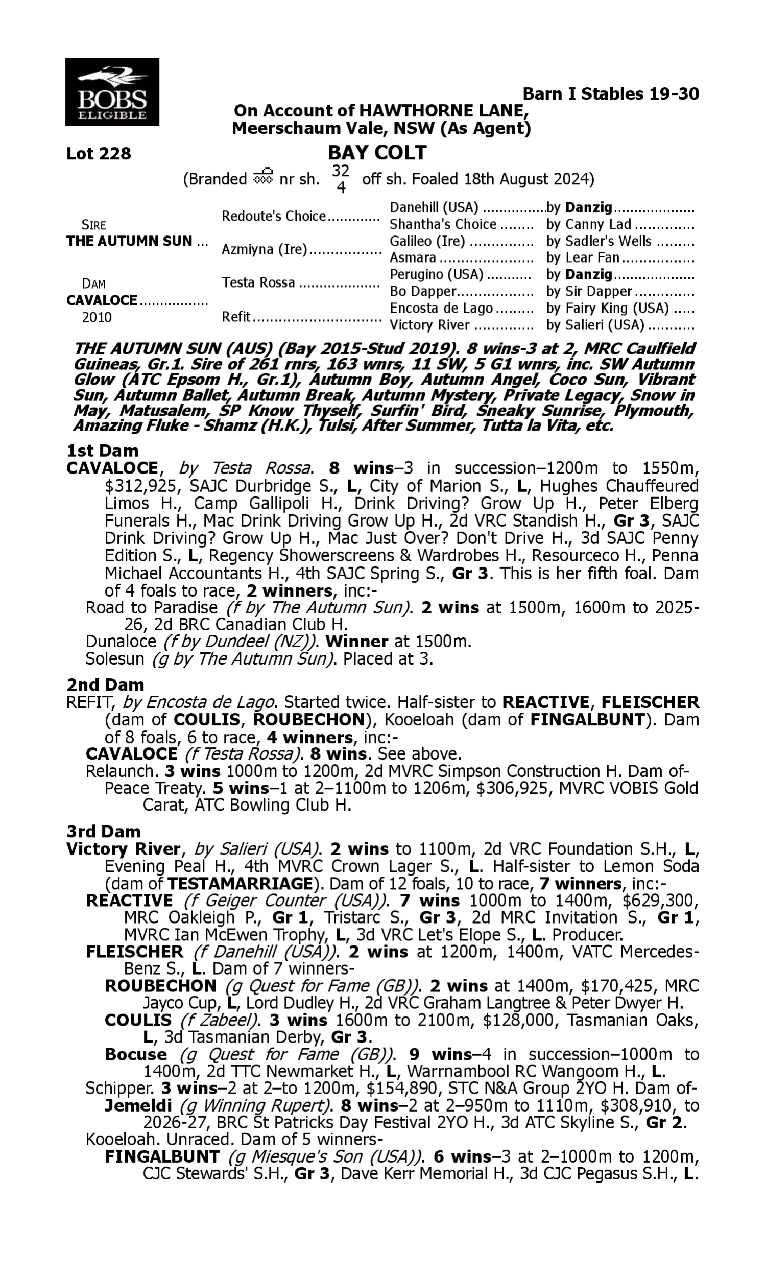 Pedigree for Lot 228 The Autumn Sun - Cavaloce