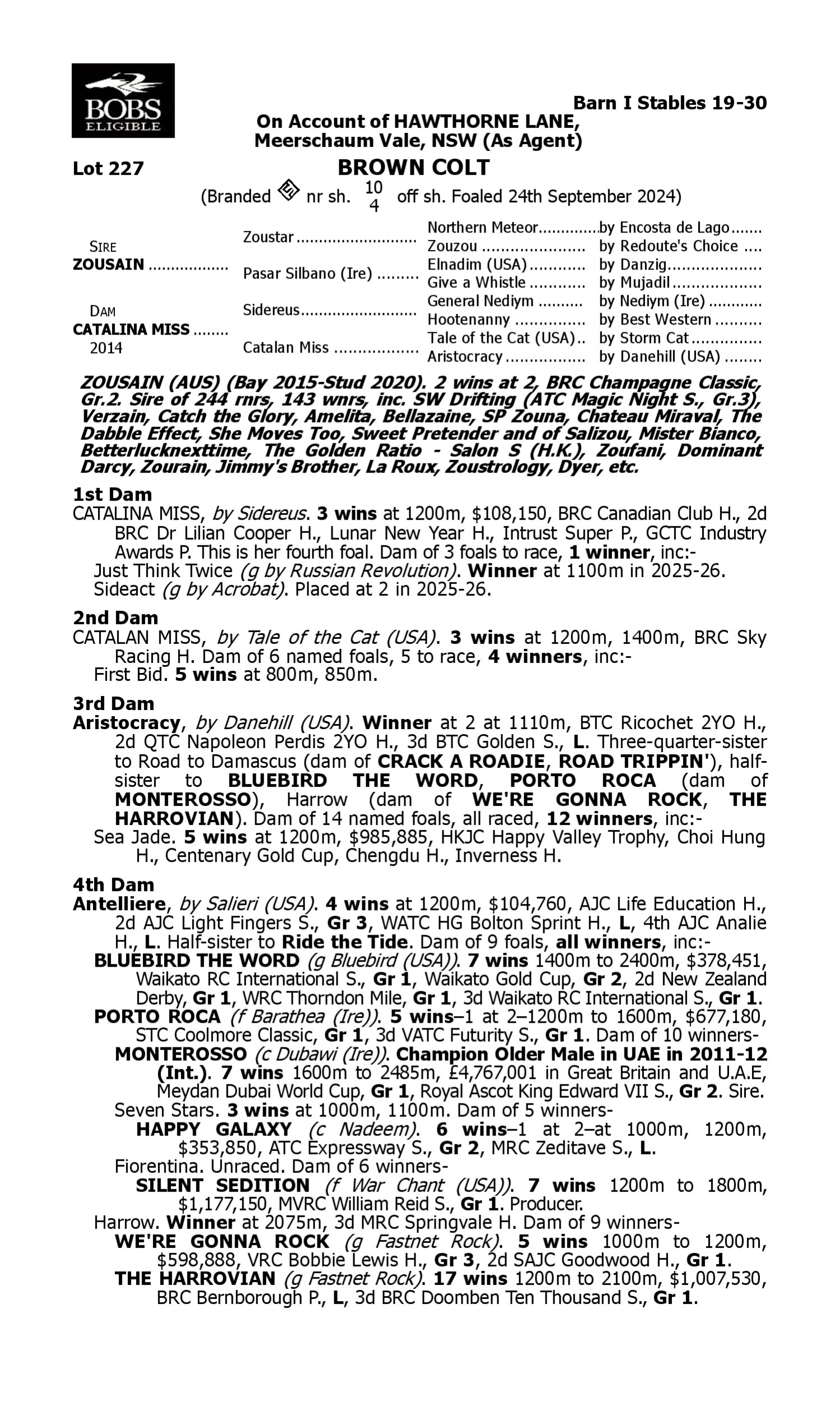 Pedigree for Lot 227 Zousain - Catalina Miss