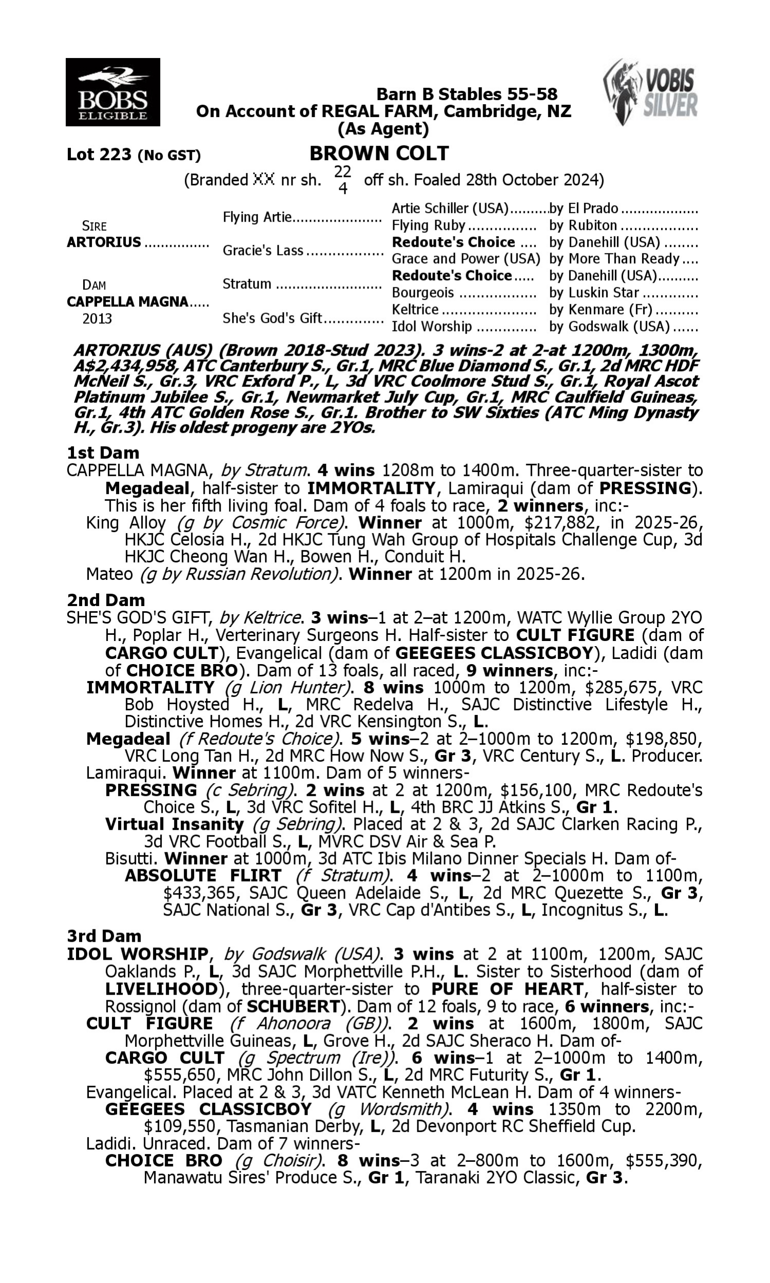 Pedigree for Lot 223 Artorius - Cappella Magna