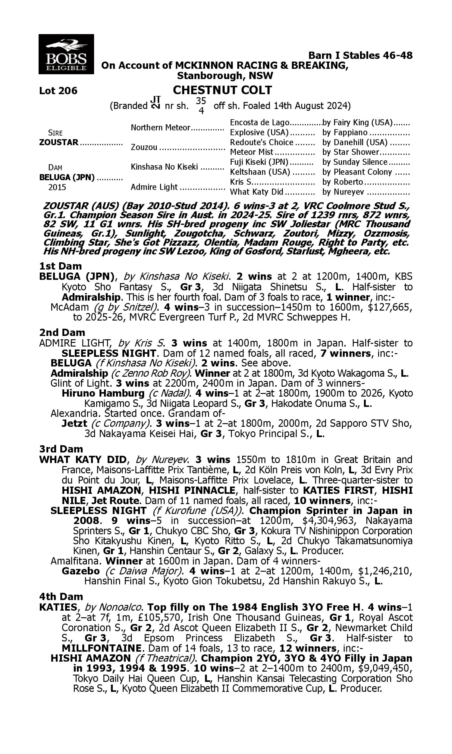 Pedigree for Lot 206 Zoustar - Beluga (JPN)
