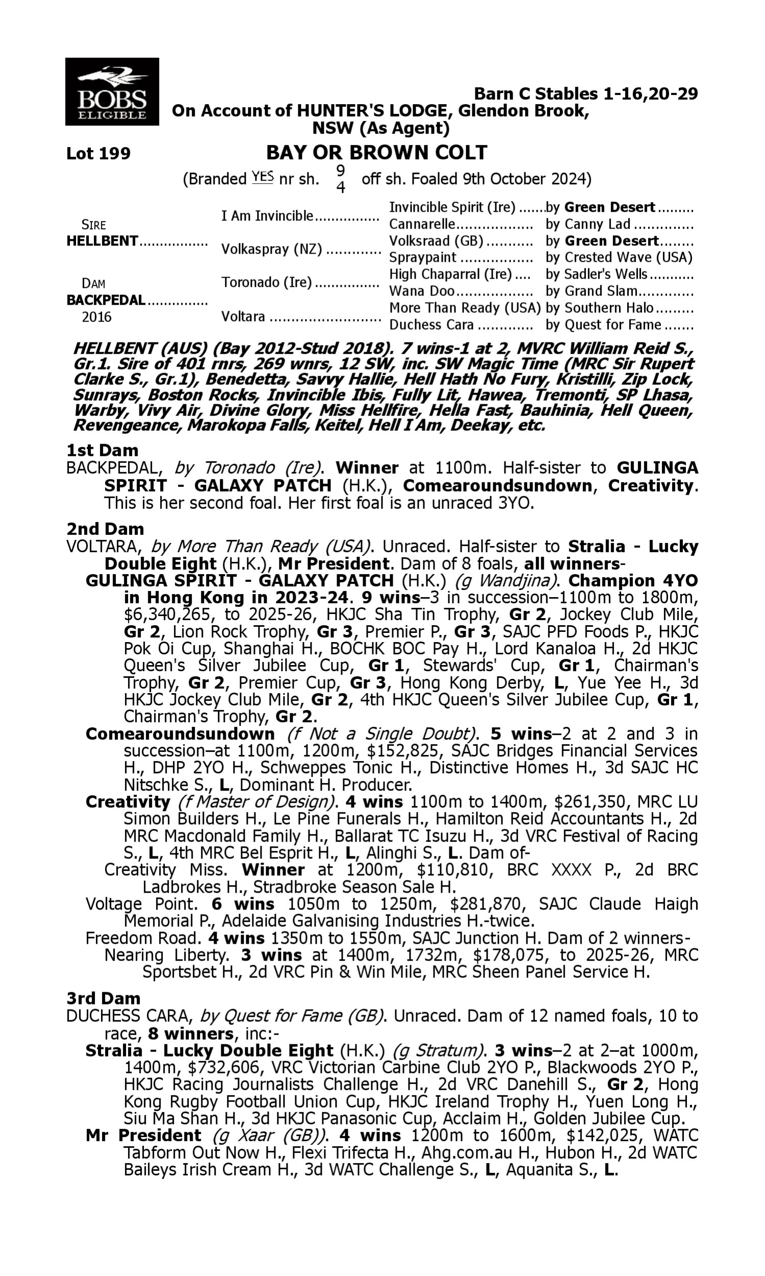 Pedigree for Lot 199 Hellbent - Backpedal