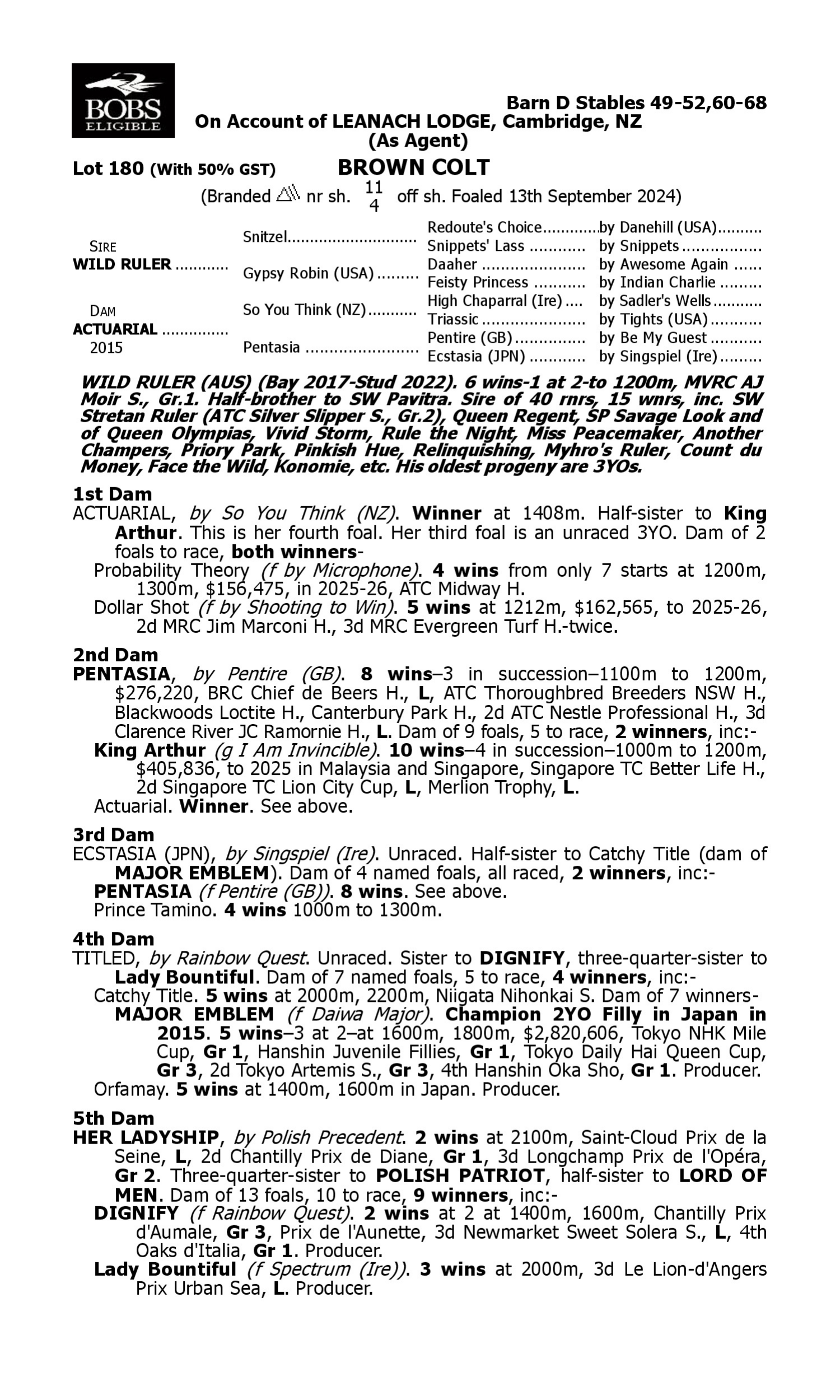 Pedigree for Lot 180 Wild Ruler - Actuarial
