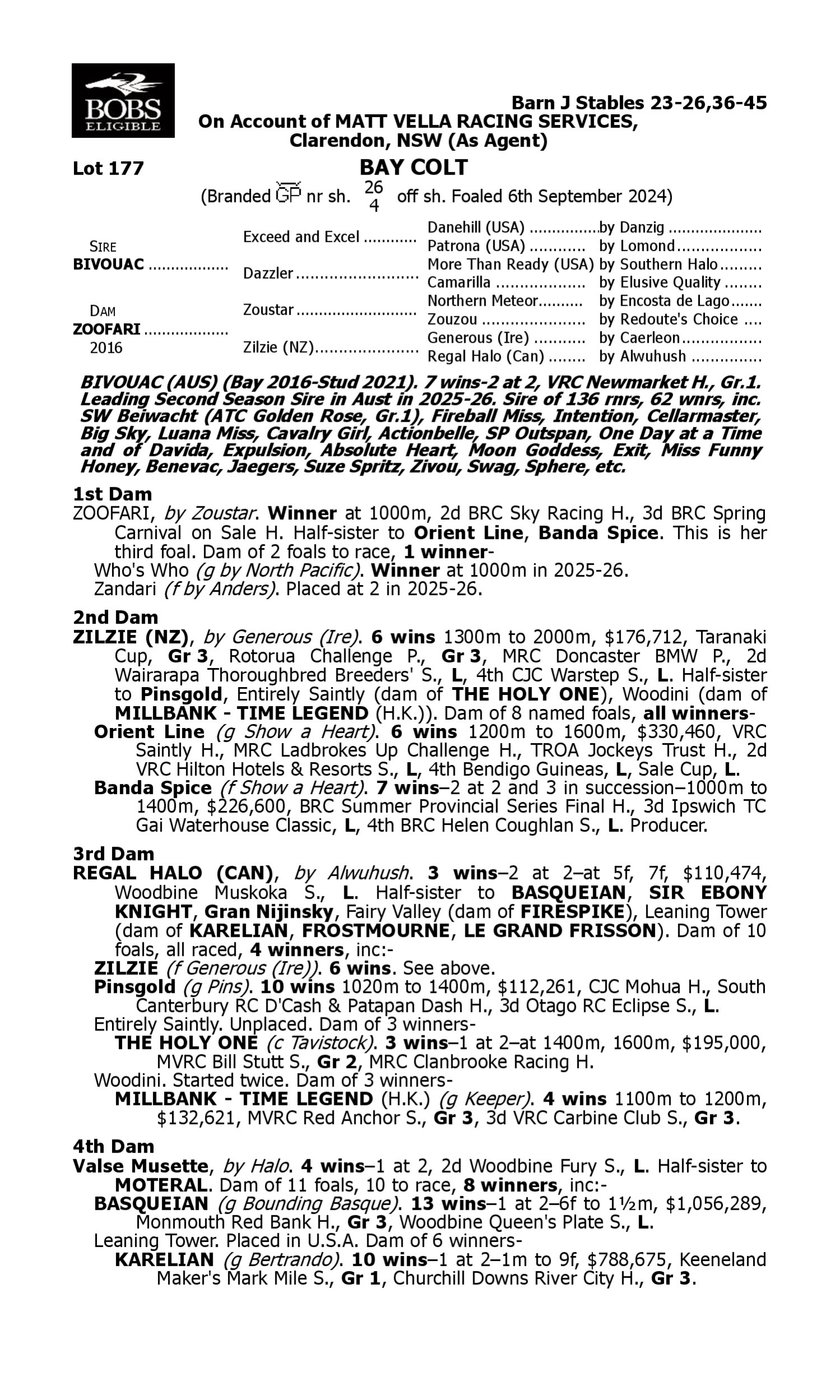 Pedigree for Lot 177 Bivouac - Zoofari