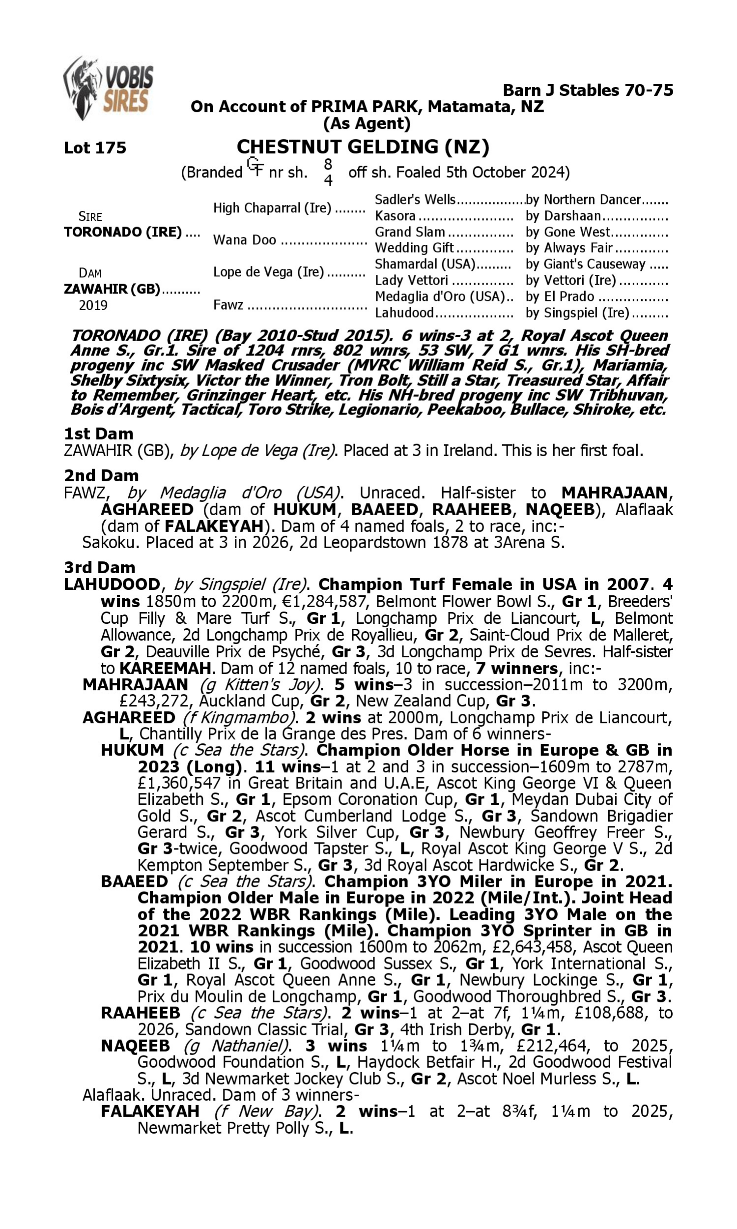 Pedigree for Lot 175 Toronado (IRE) - Zawahir (GB)