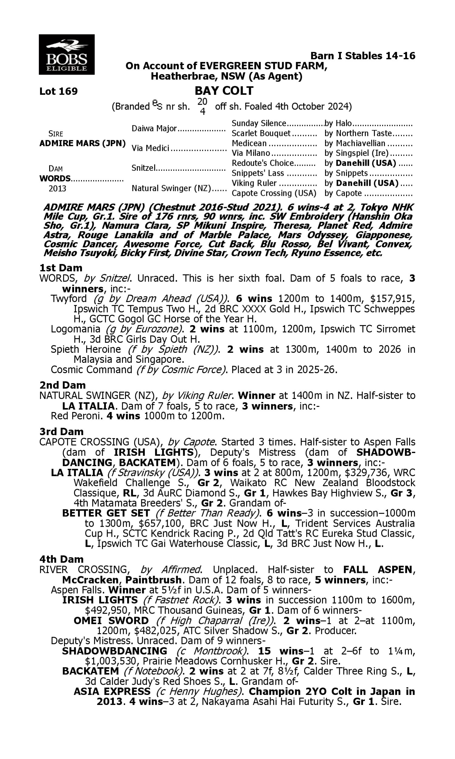 Pedigree for Lot 169 Admire Mars (JPN) - Words