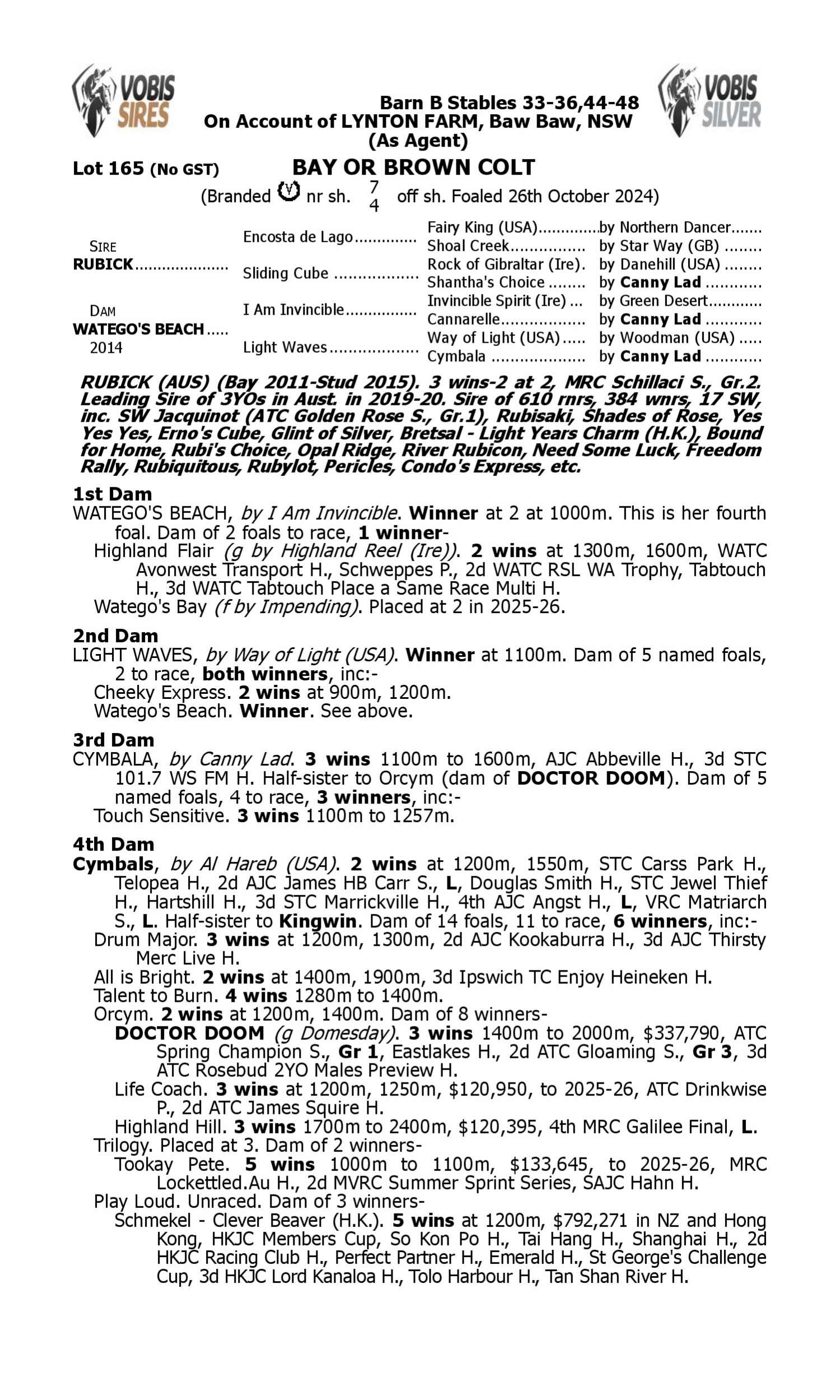 Pedigree for Lot 165 Rubick - Watego's Beach