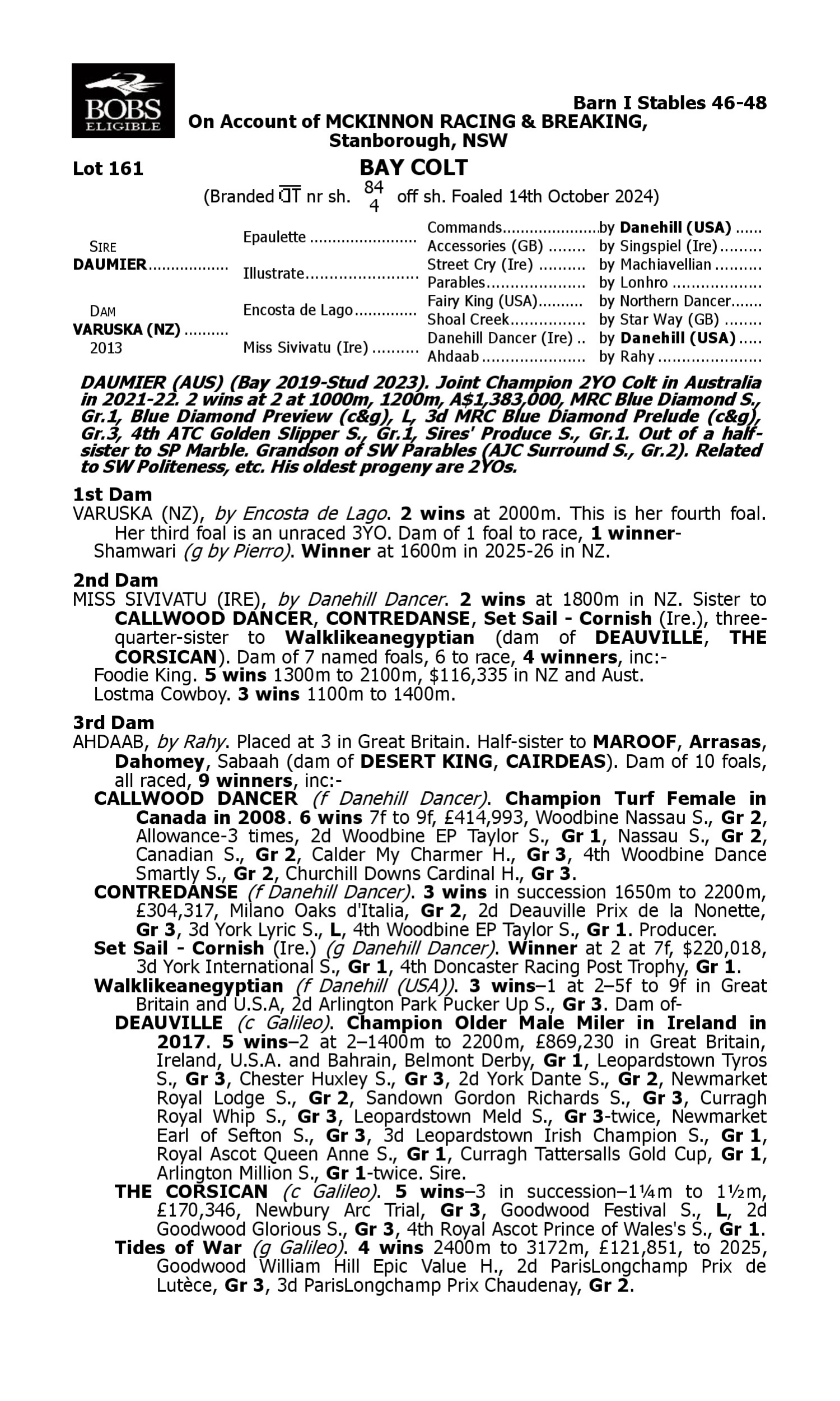 Pedigree for Lot 161 Daumier - Varuska (NZ)