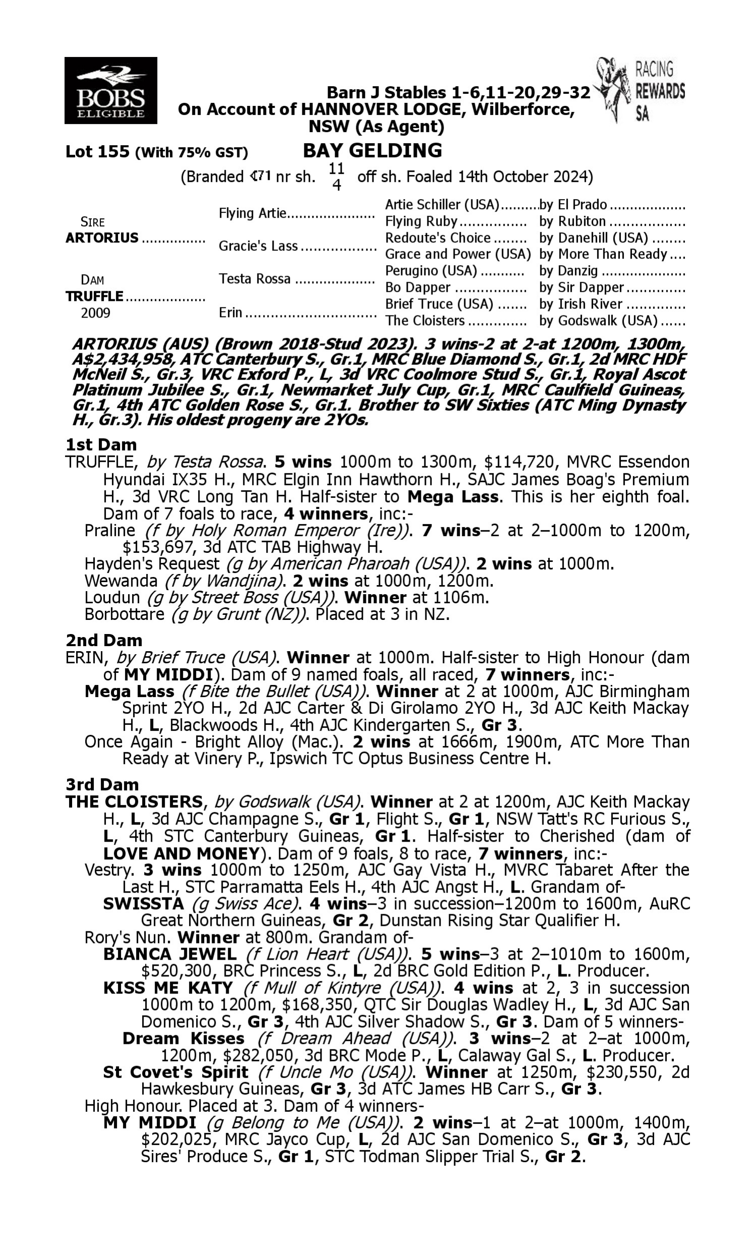 Pedigree for Lot 155 Artorius - Truffle