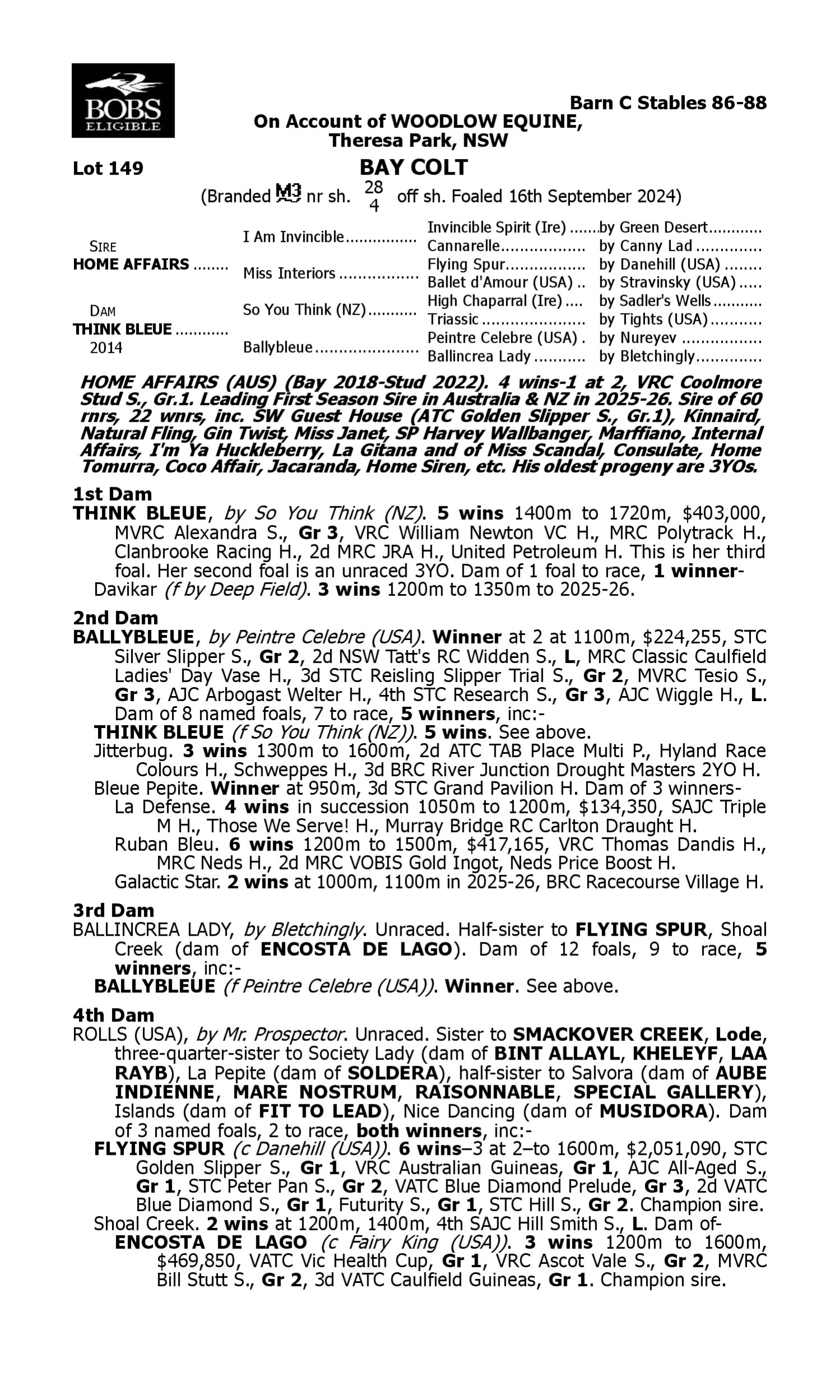 Pedigree for Lot 149 Home Affairs - Think Bleue