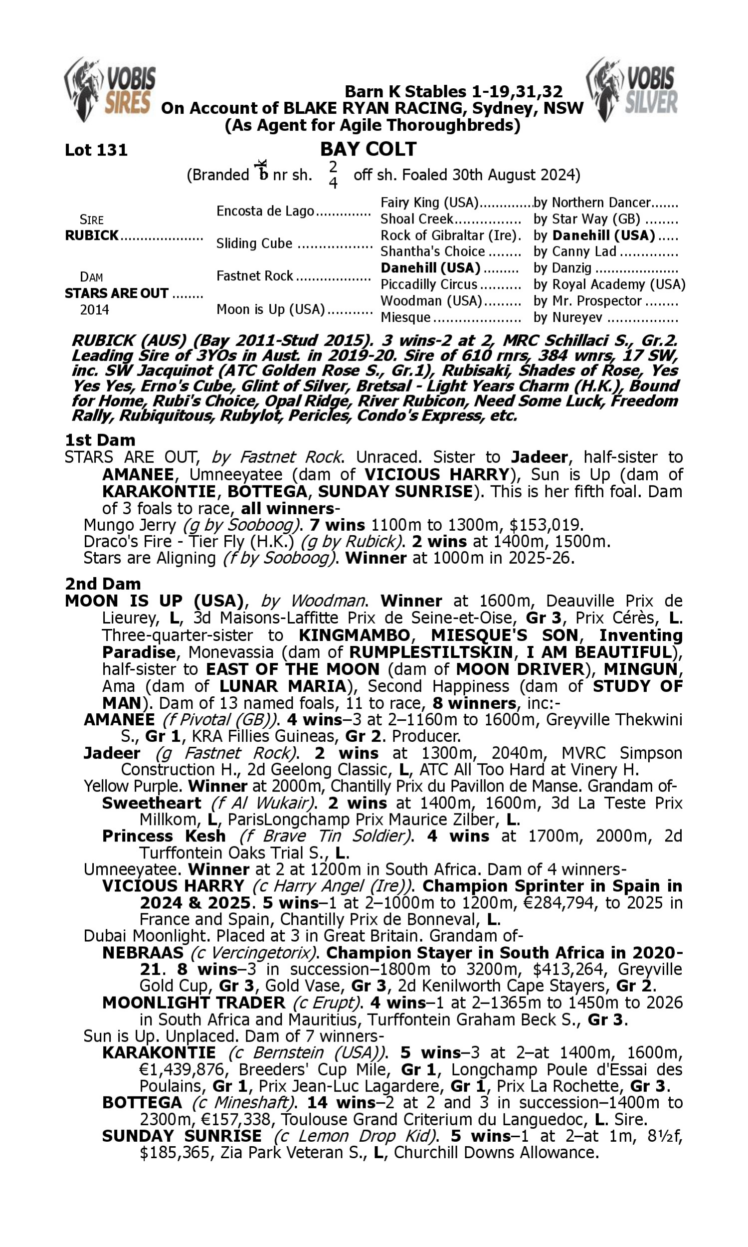 Pedigree for Lot 131 Rubick - Stars are Out
