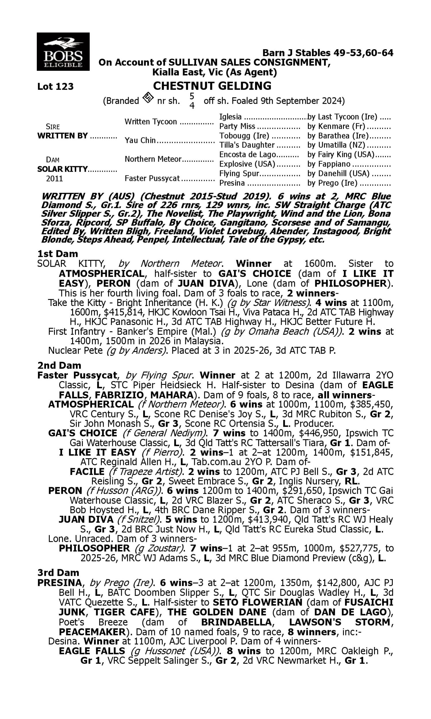Pedigree for Lot 123 Written By - Solar Kitty