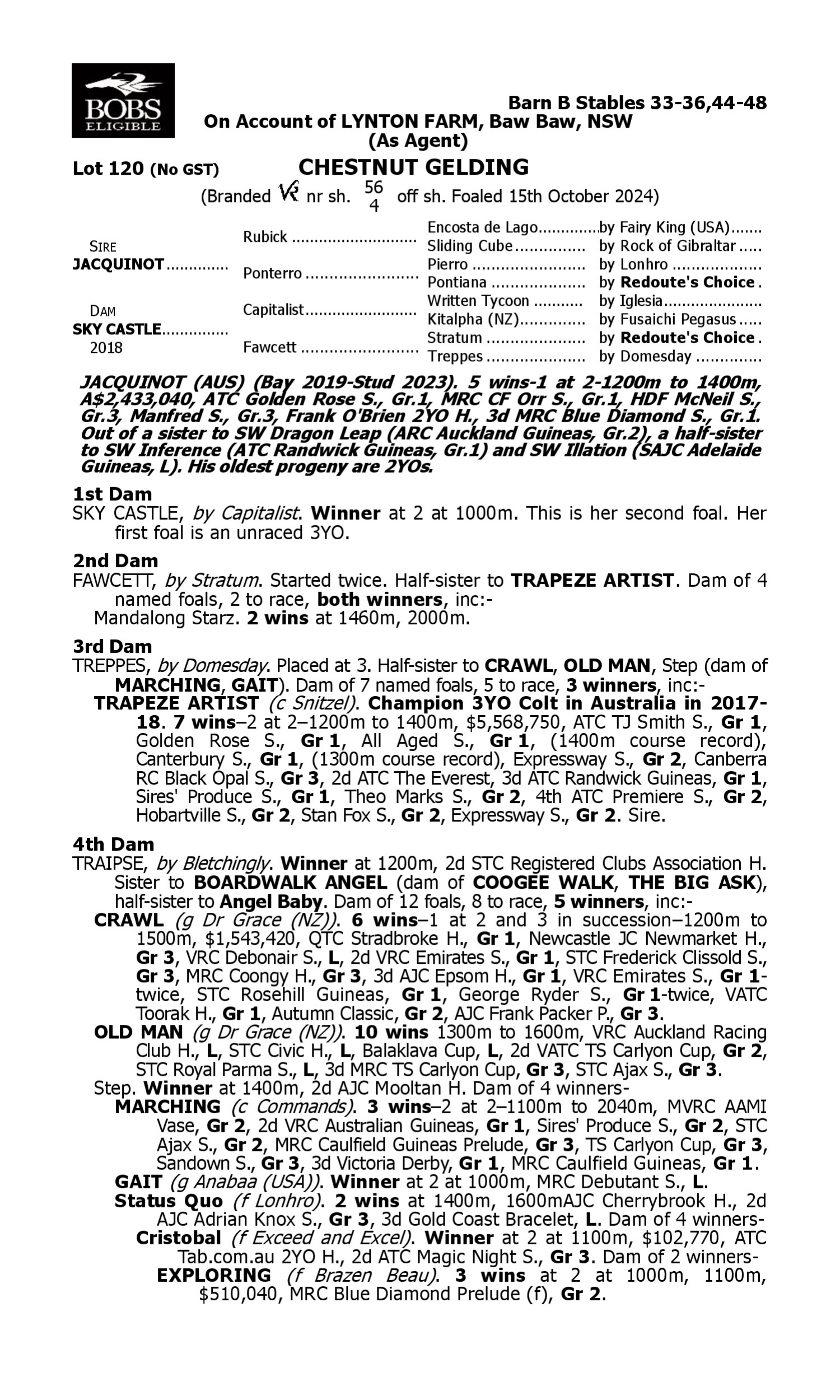 Pedigree for Lot 120 Jacquinot - Sky Castle