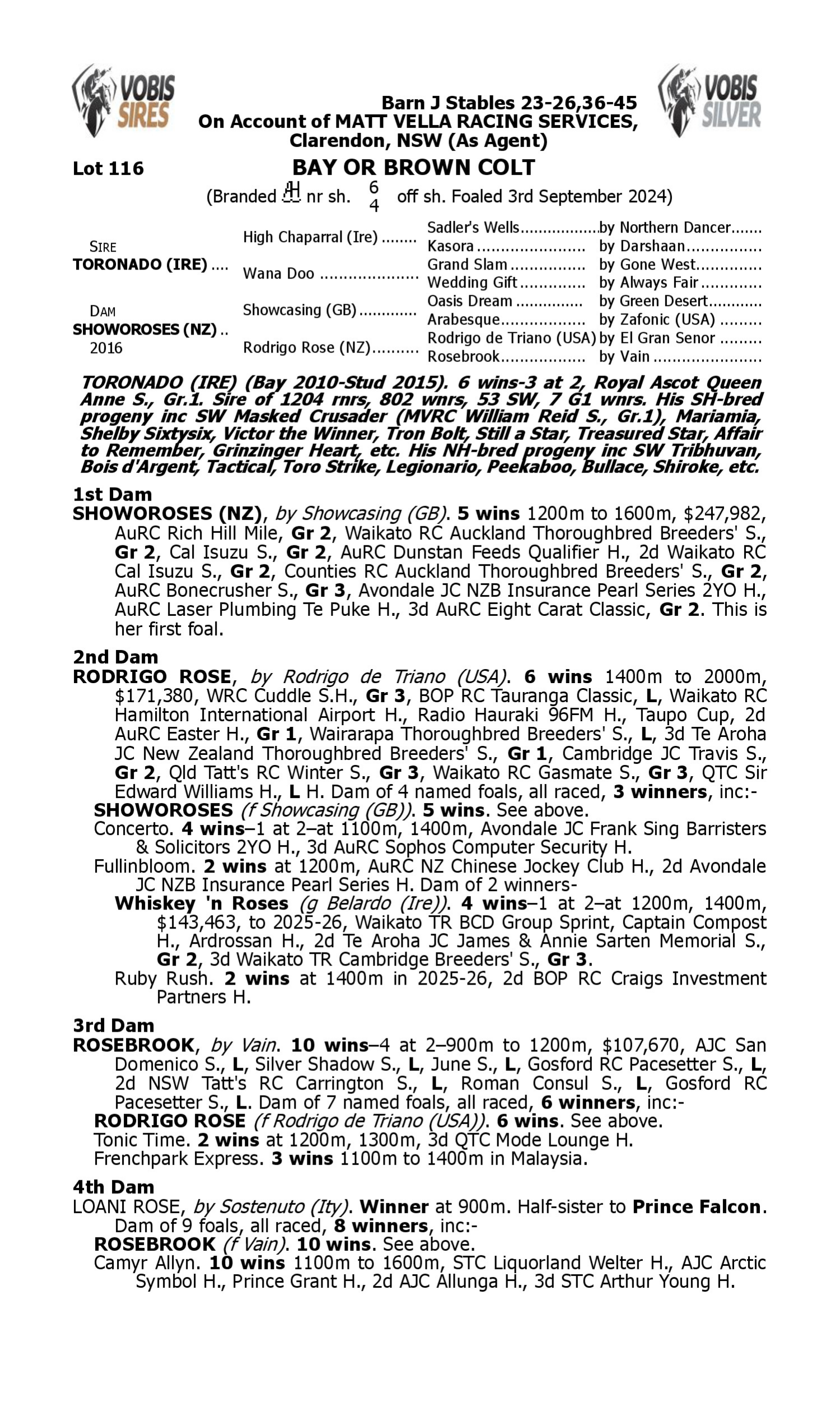 Pedigree for Lot 116 Toronado (IRE) - Showoroses (NZ)