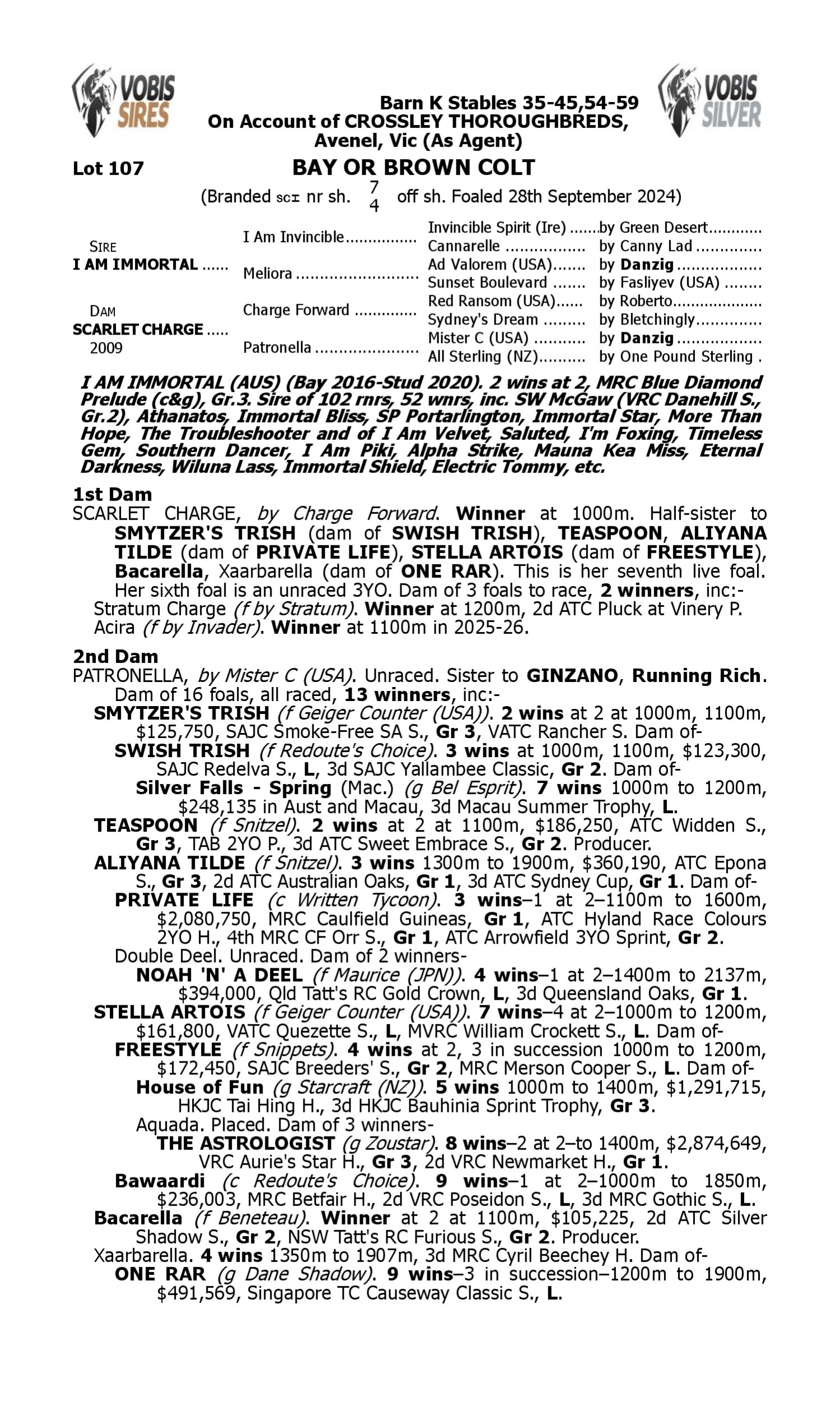 Pedigree for Lot 107 I Am Immortal - Scarlet Charge