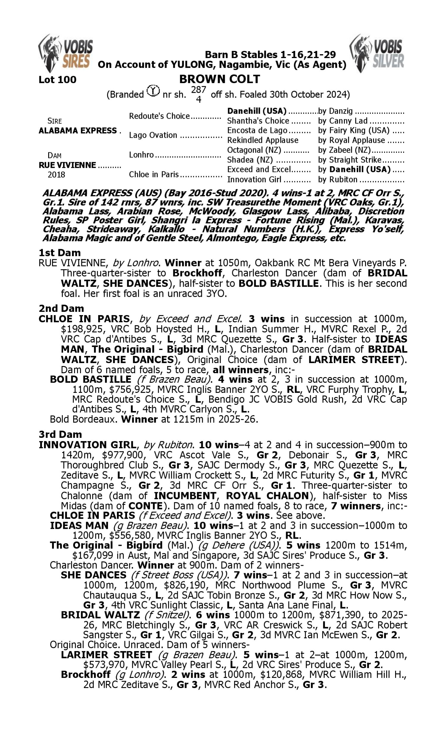 Pedigree for Lot 100 Alabama Express - Rue Vivienne