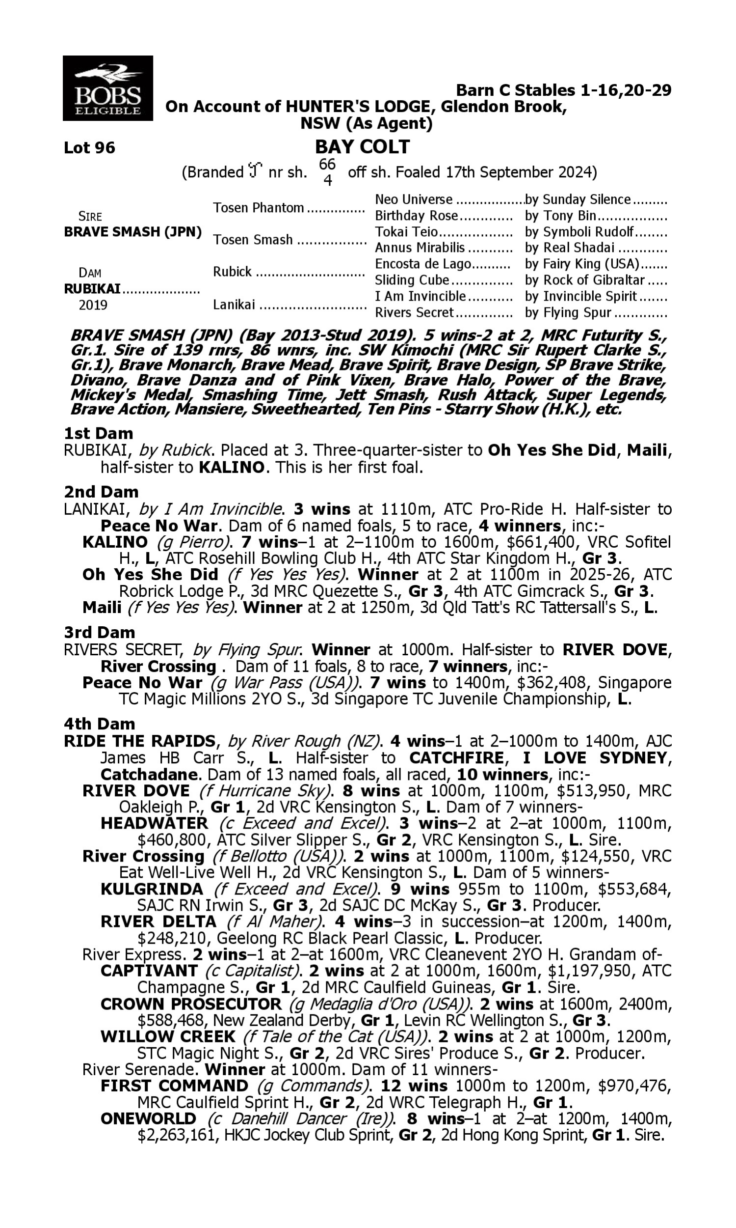 Pedigree for Lot 96 Brave Smash (JPN) - Rubikai