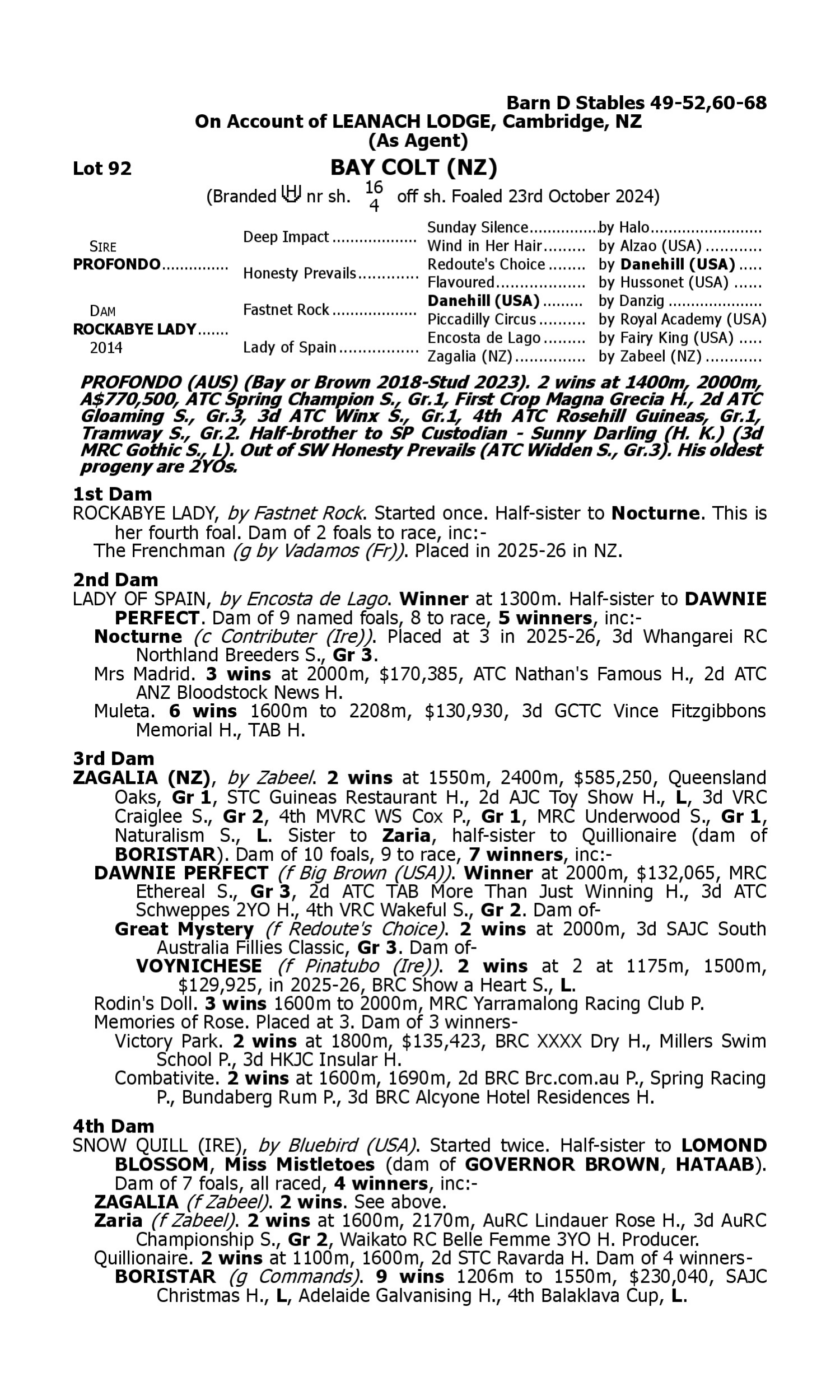Pedigree for Lot 92 Profondo - Rockabye Lady