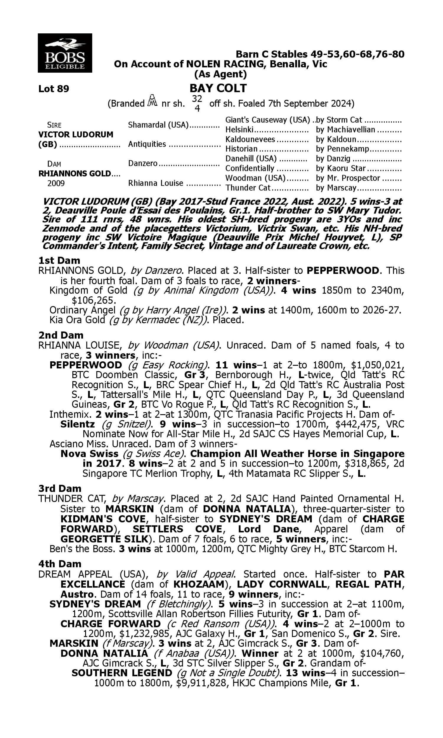 Pedigree for Lot 89 Victor Ludorum (GB) - Rhiannons Gold