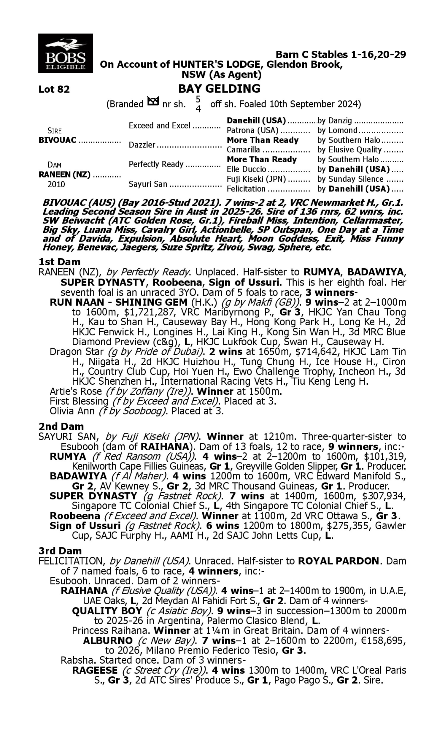 Pedigree for Lot 82 Bivouac - Raneen (NZ)