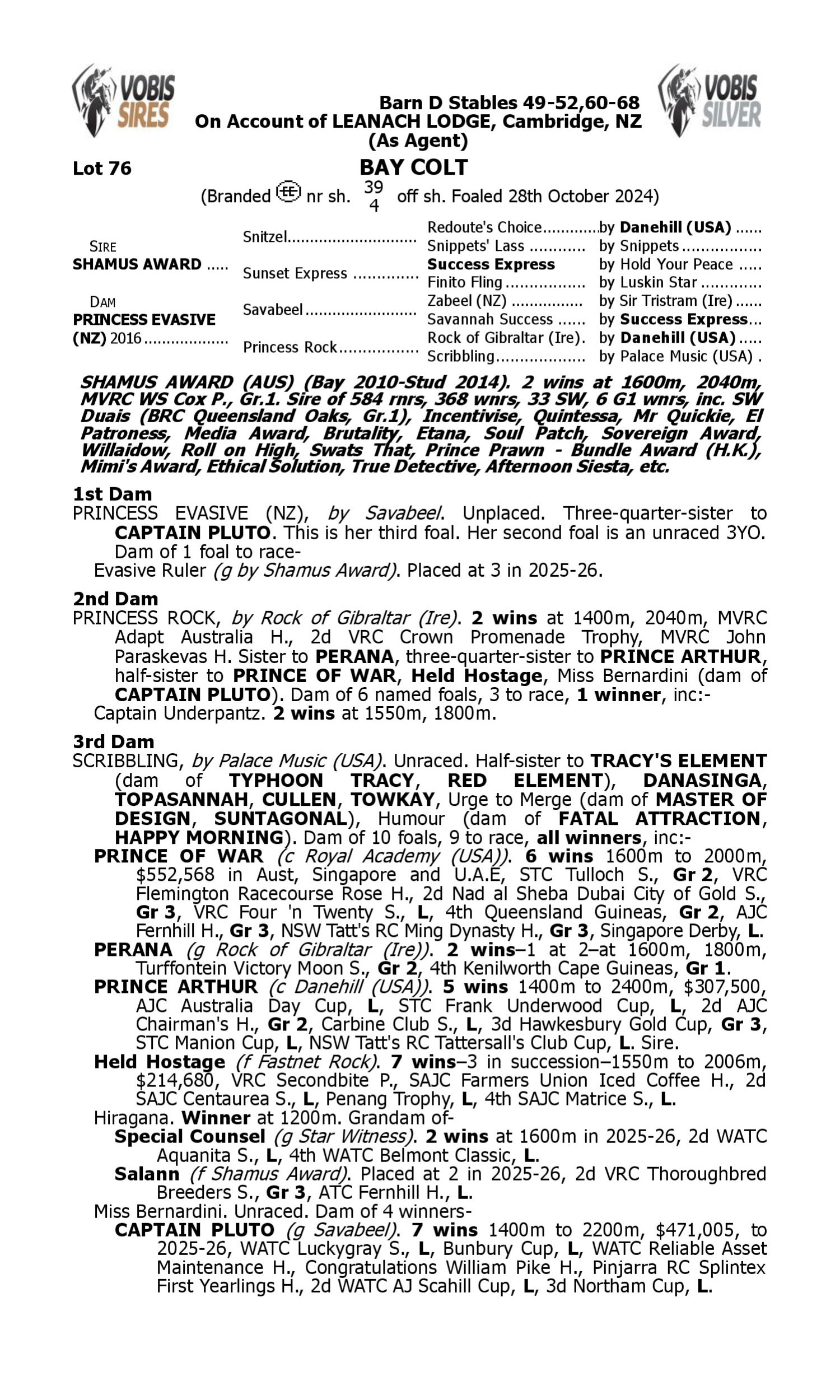 Pedigree for Lot 76 Shamus Award - Princess Evasive (NZ)