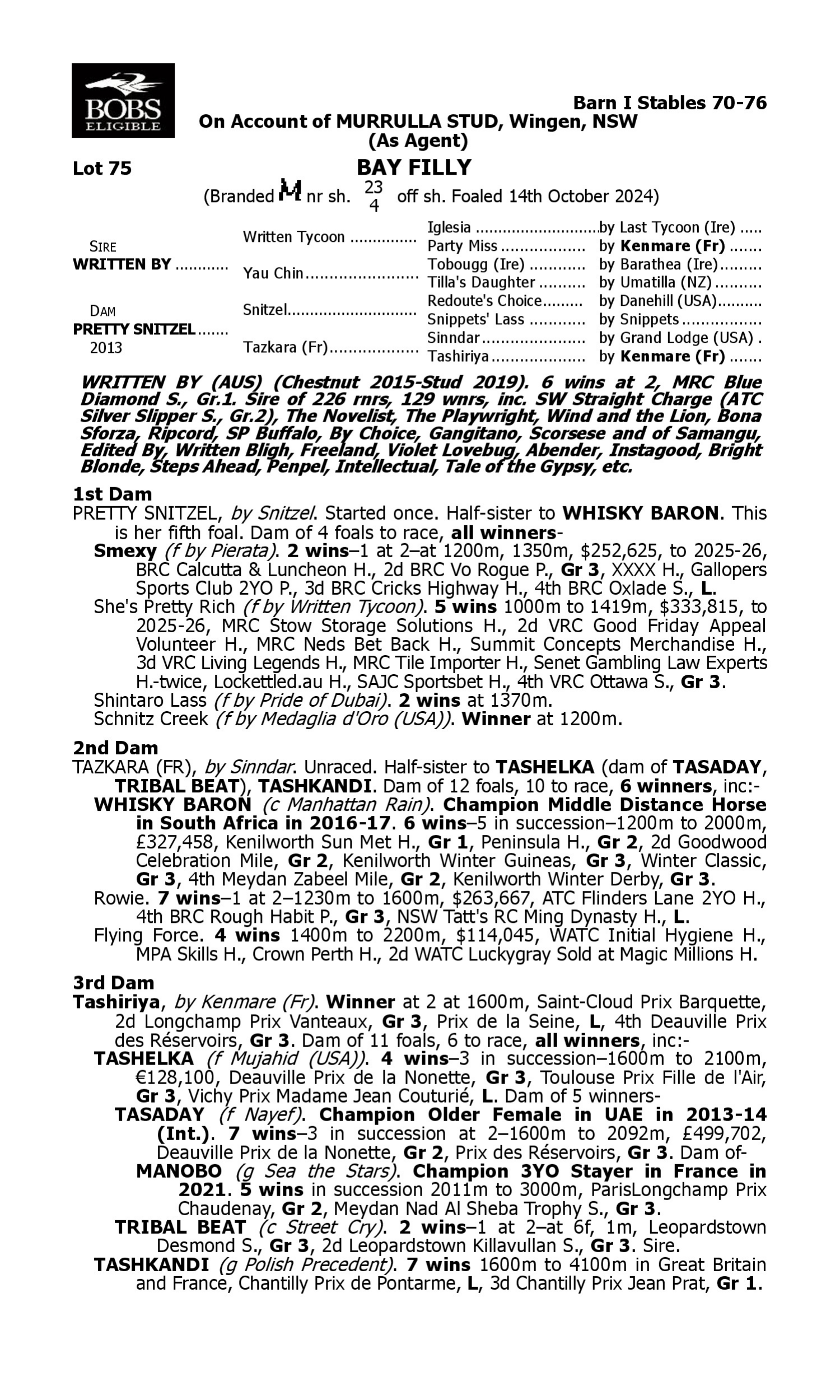 Pedigree for Lot 75 Written By - Pretty Snitzel
