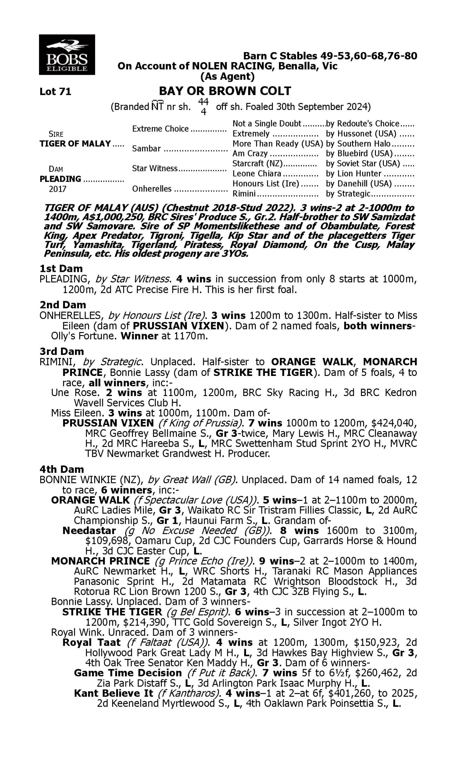 Pedigree for Lot 71 Tiger of Malay - Pleading