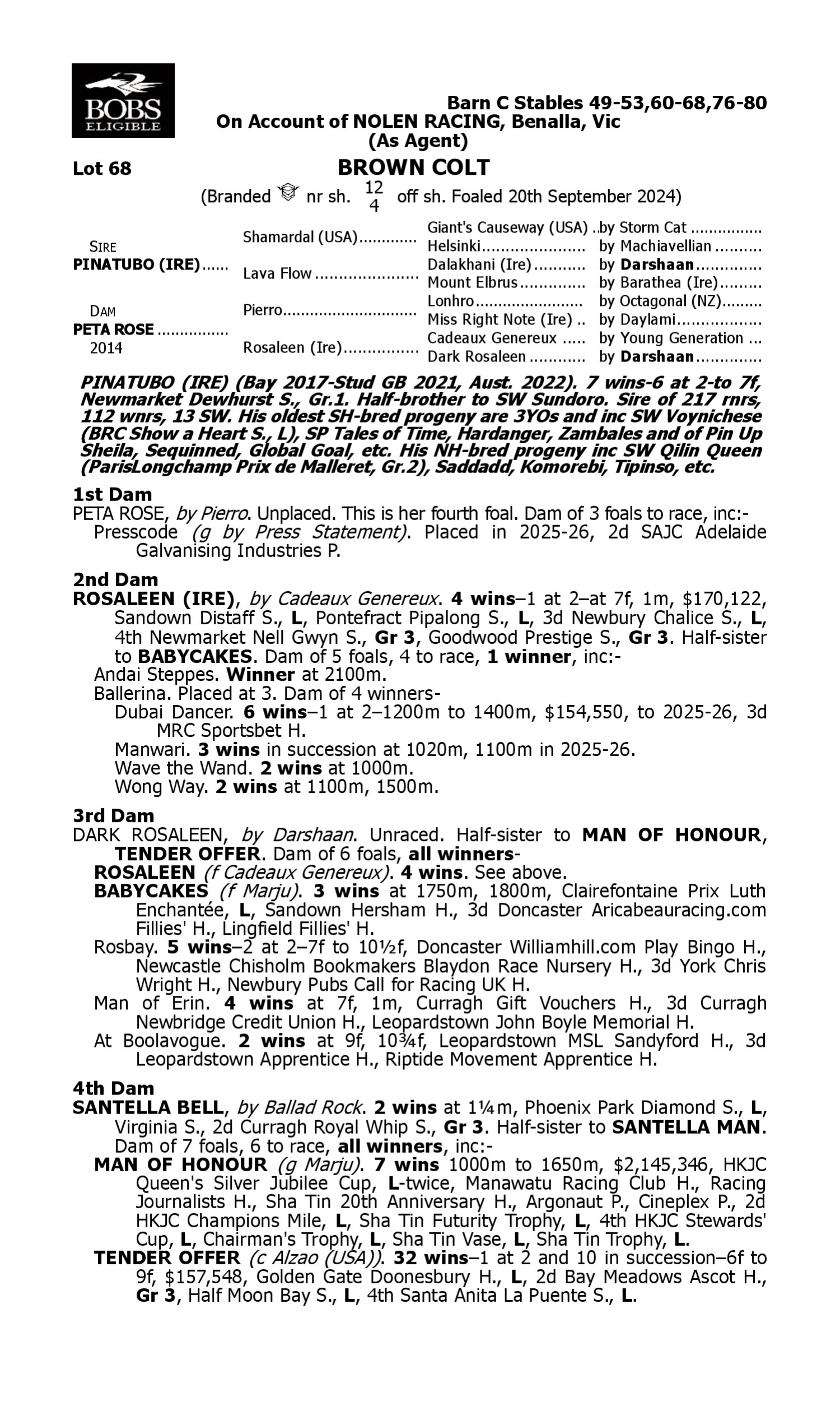 Pedigree for Lot 68 Pinatubo (IRE) - Peta Rose