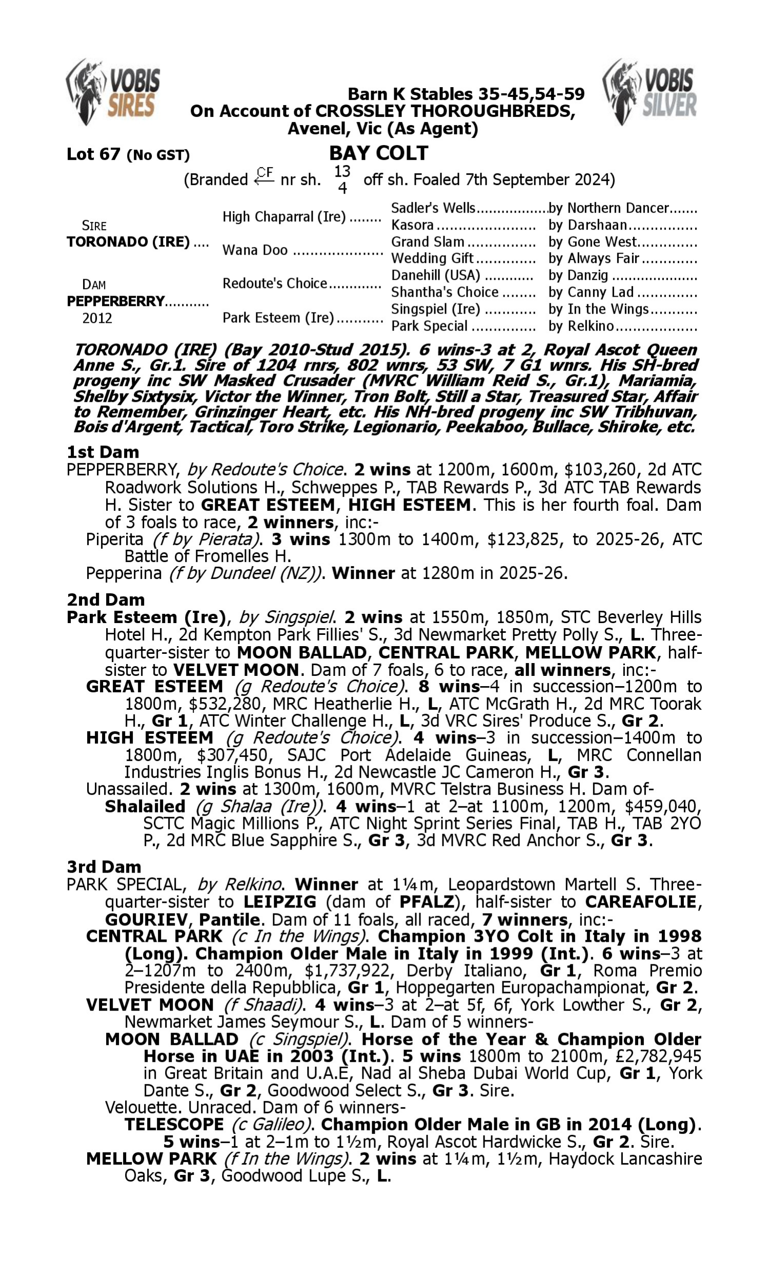 Pedigree for Lot 67 Toronado (IRE) - Pepperberry
