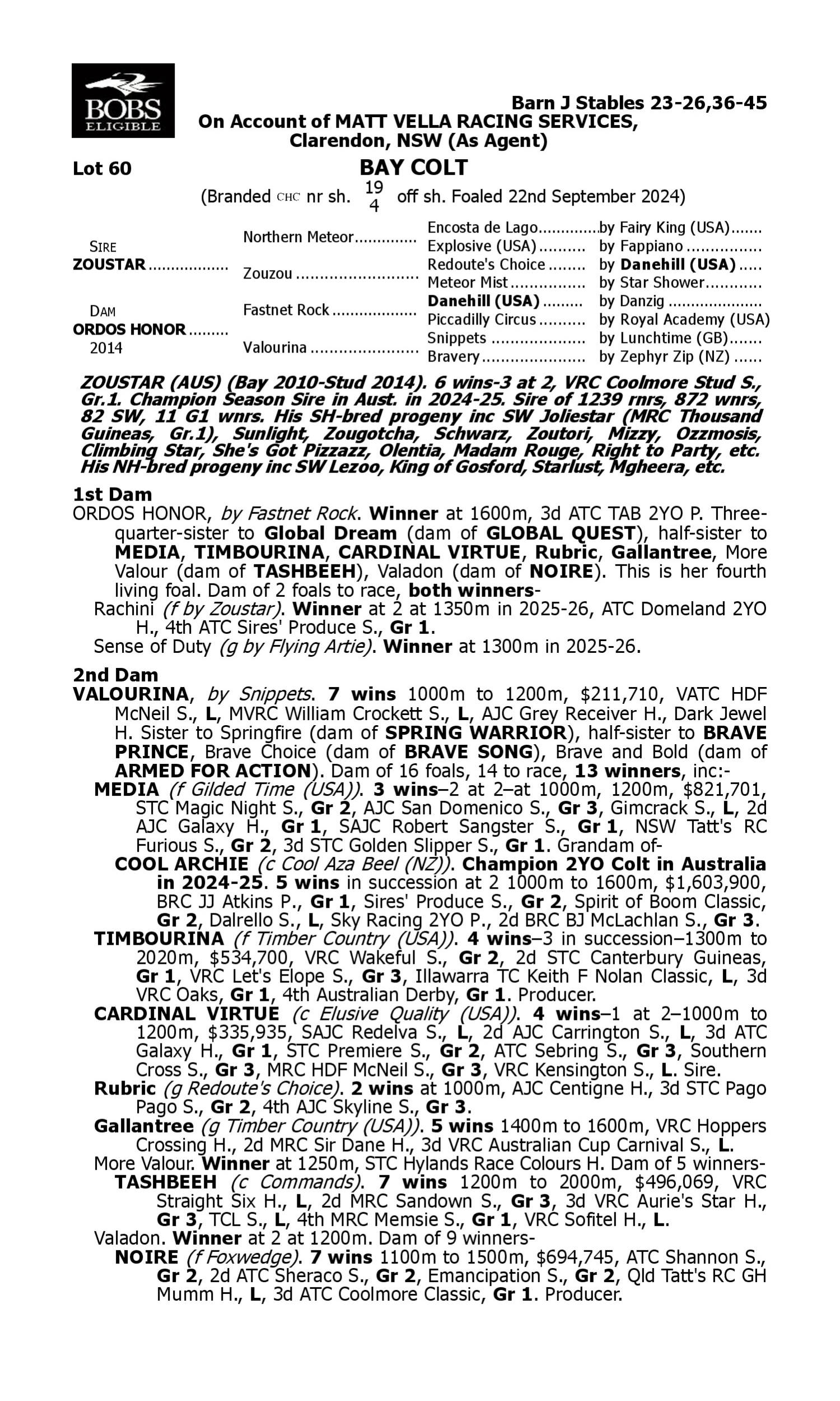 Pedigree for Lot 60 Zoustar - Ordos Honor