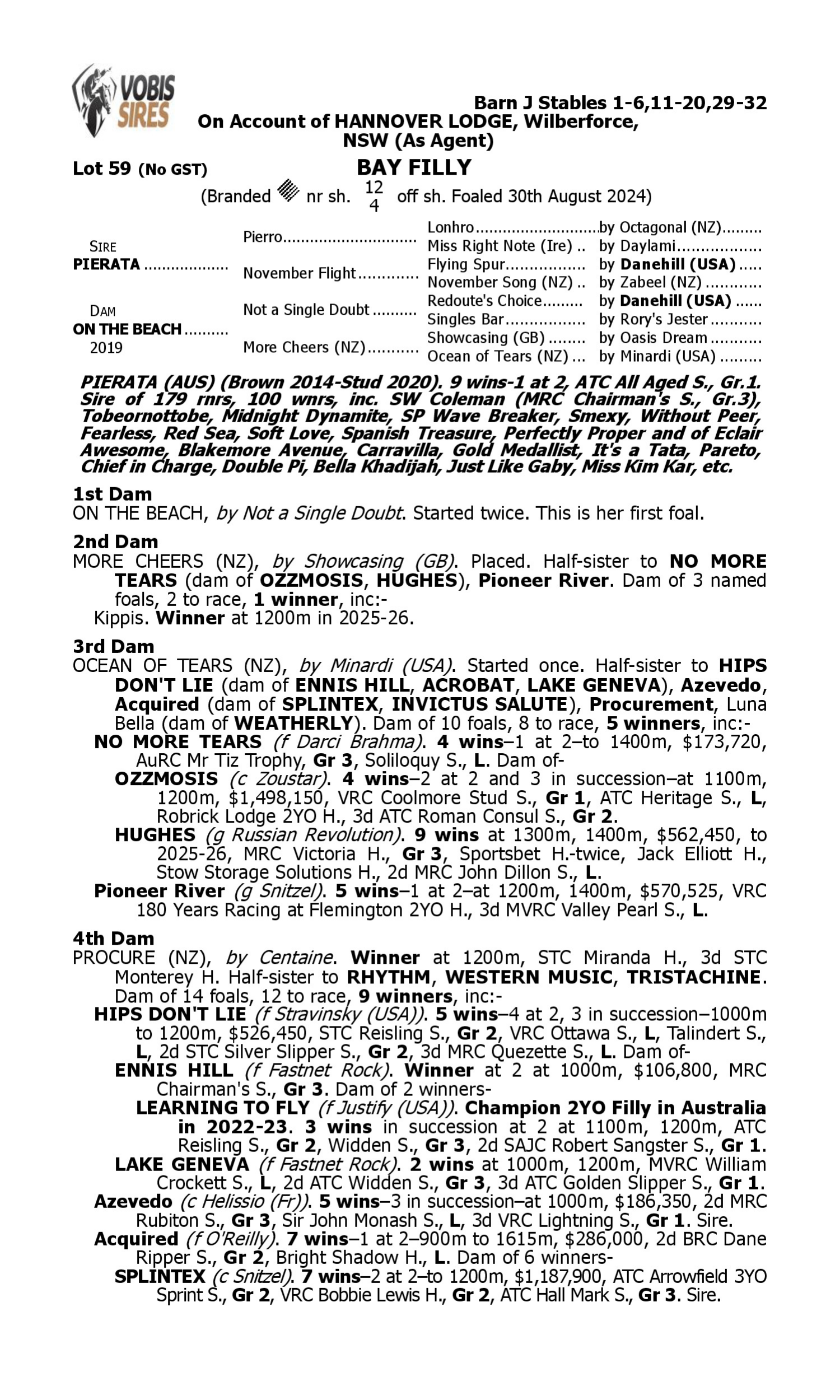 Pedigree for Lot 59 Pierata - On the Beach