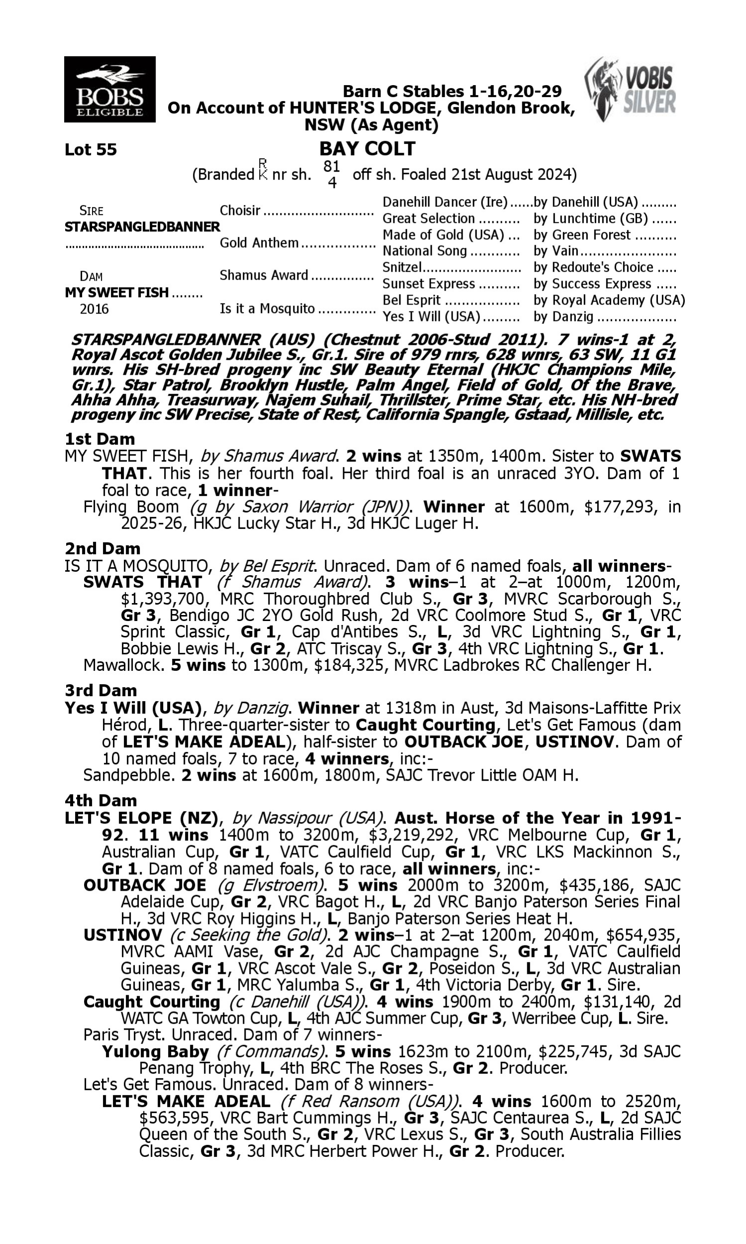 Pedigree for Lot 55 Starspangledbanner - My Sweet Fish