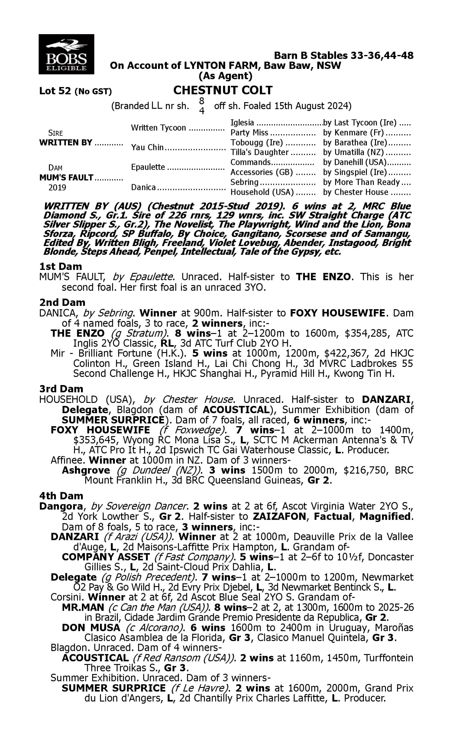Pedigree for Lot 52 Written By - Mum's Fault