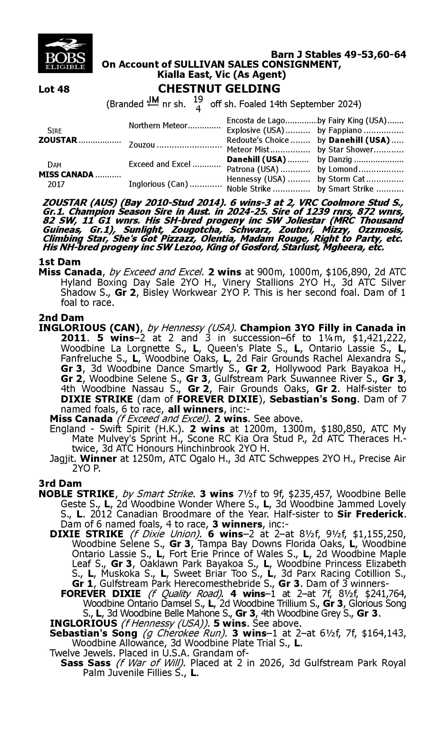 Pedigree for Lot 48 Zoustar - Miss Canada
