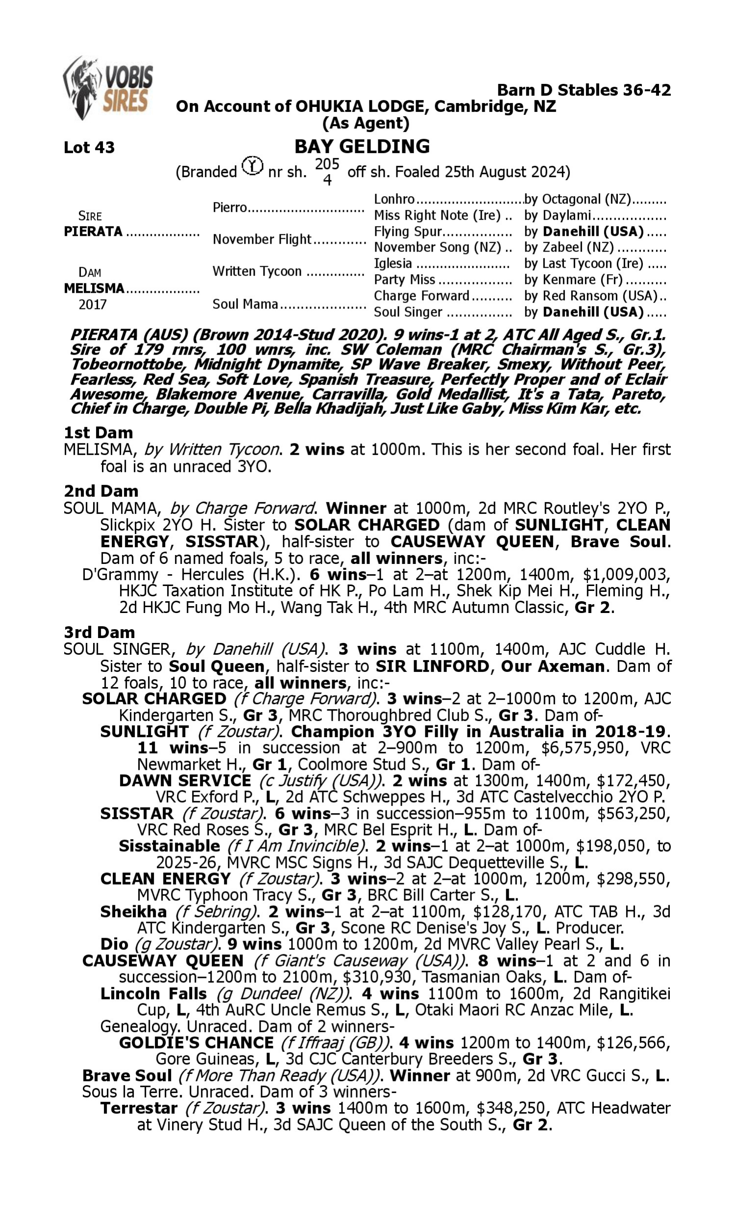 Pedigree for Lot 43 Pierata - Melisma