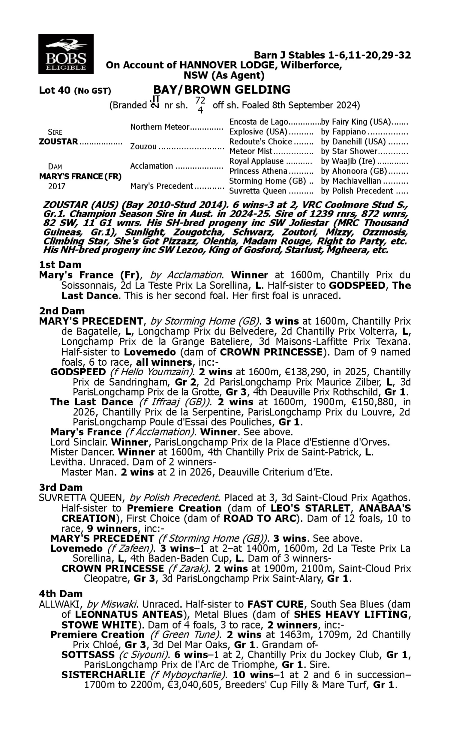 Pedigree for Lot 40 Zoustar - Mary's France (FR)