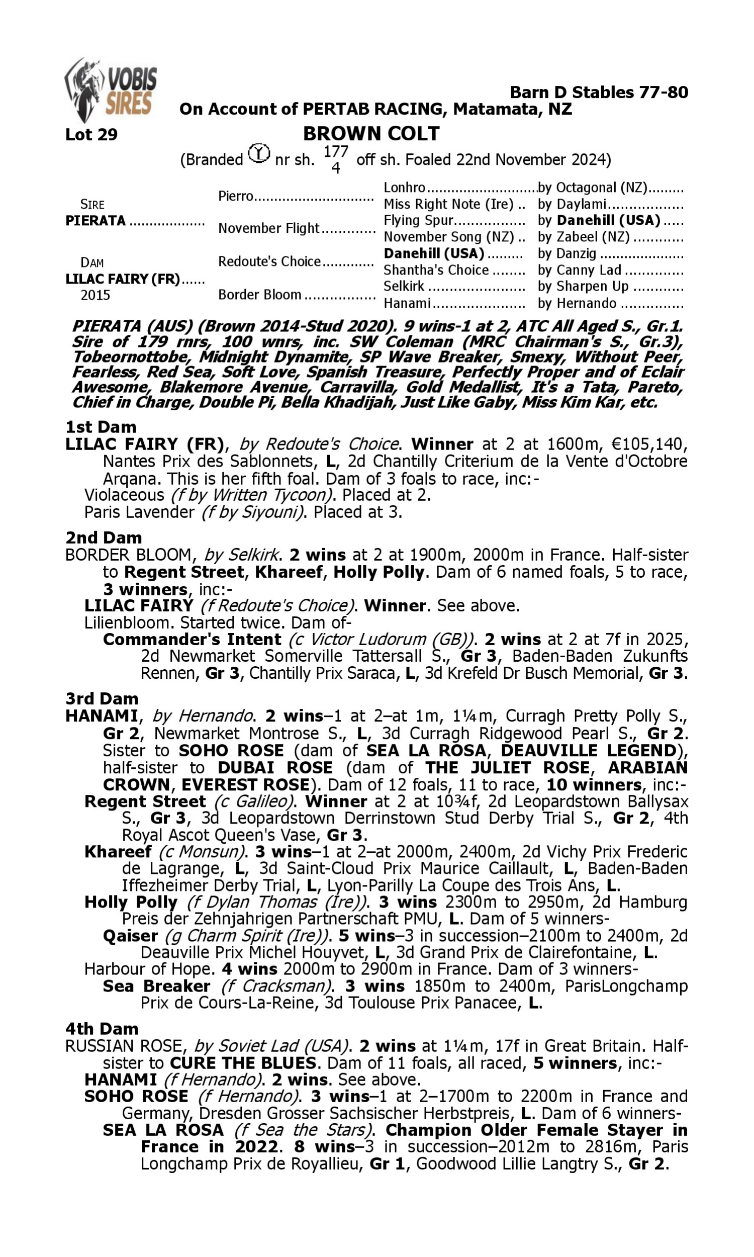 Pedigree for Lot 29 Pierata - Lilac Fairy (FR)