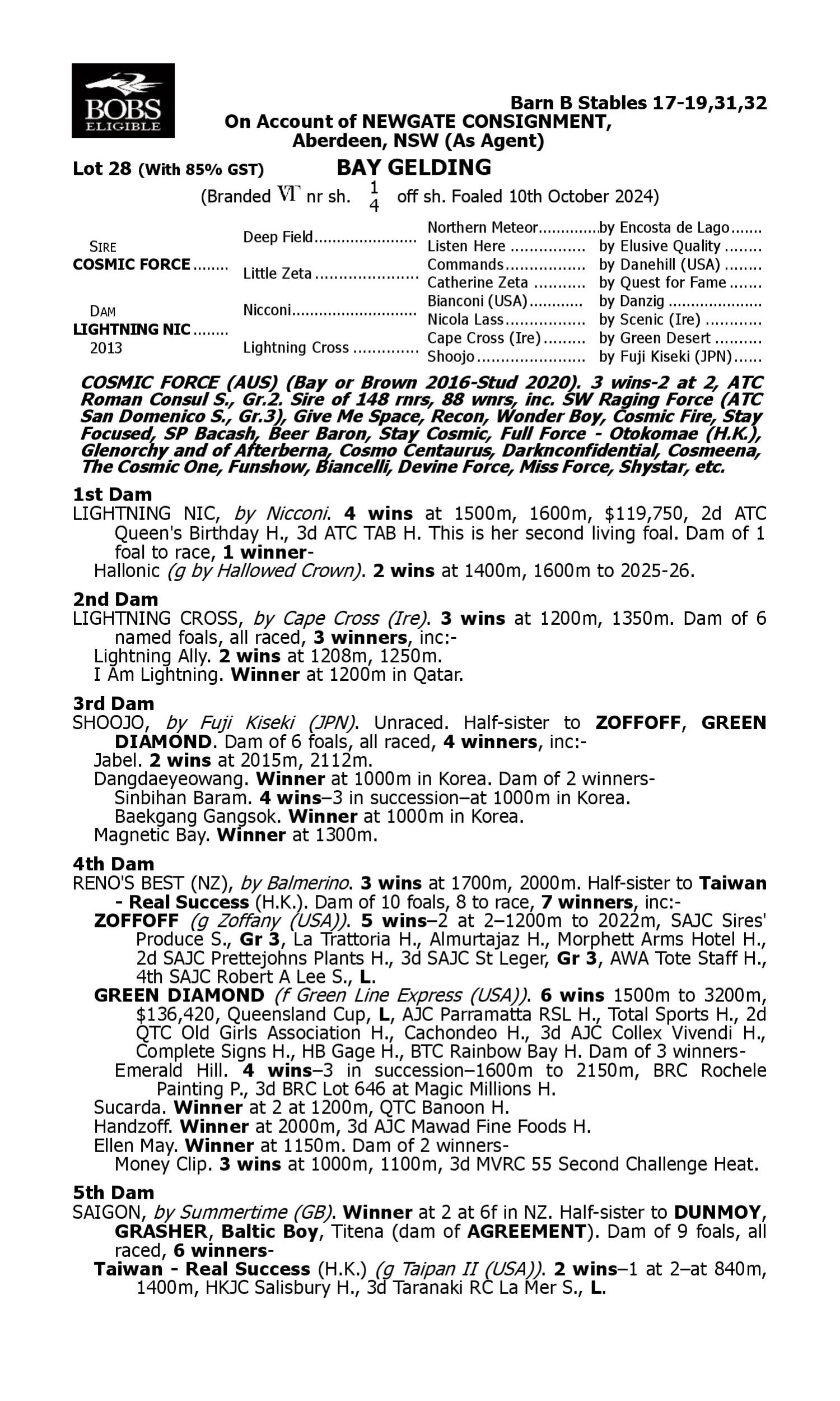 Pedigree for Lot 28 Cosmic Force - Lightning Nic