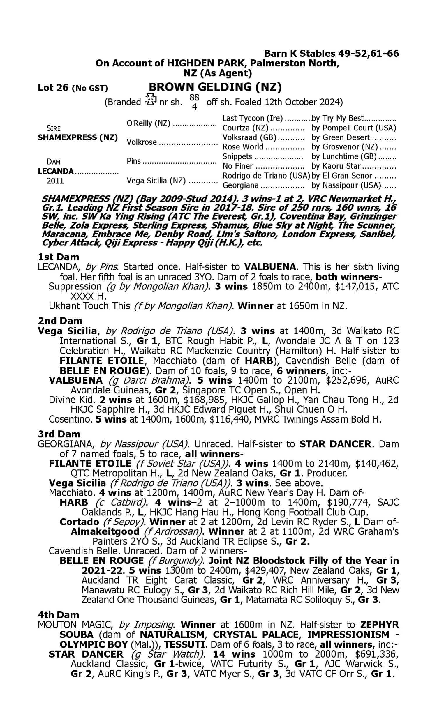 Pedigree for Lot 26 Shamexpress (NZ) - Lecanda (NZ)