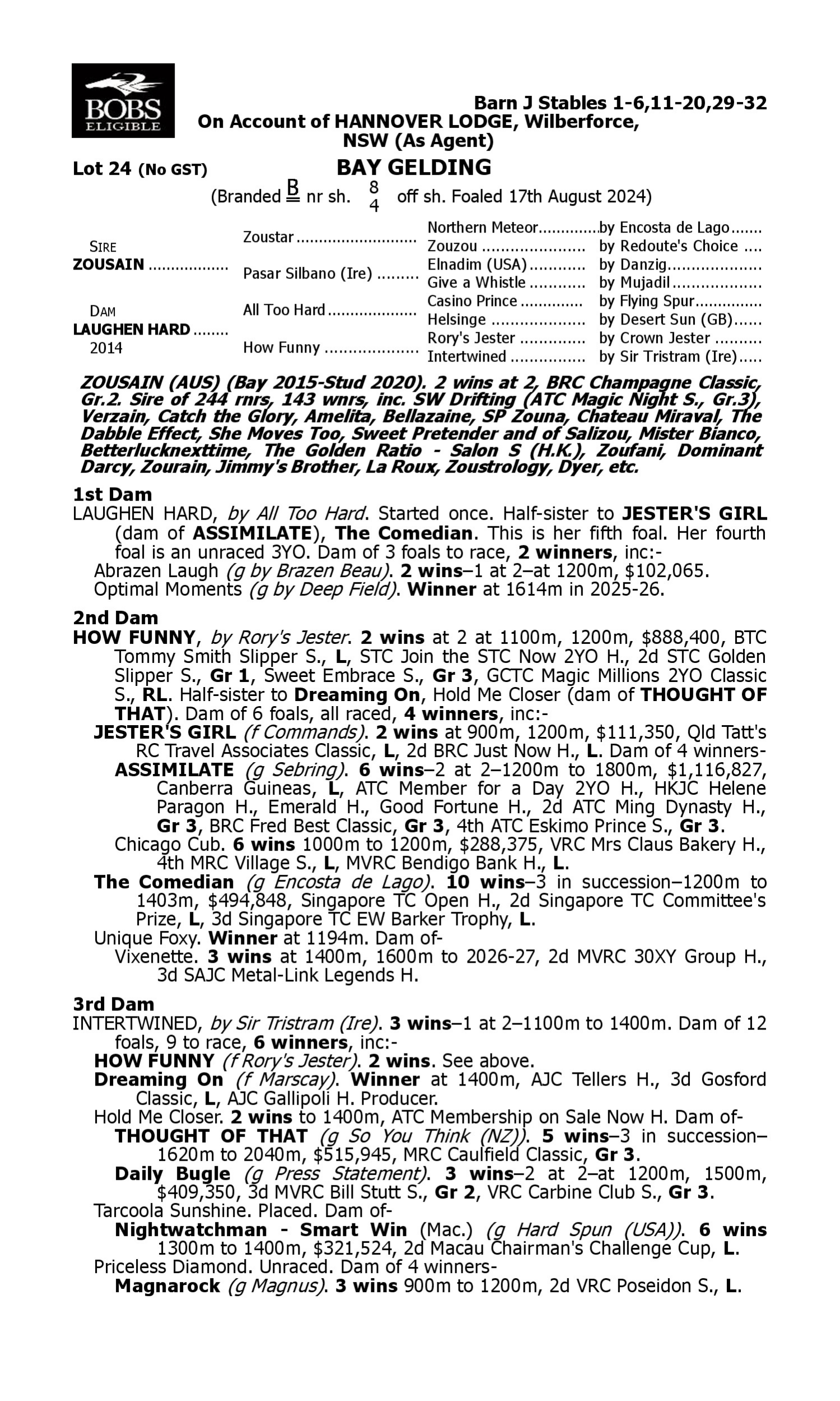 Pedigree for Lot 24 Zousain - Laughen Hard