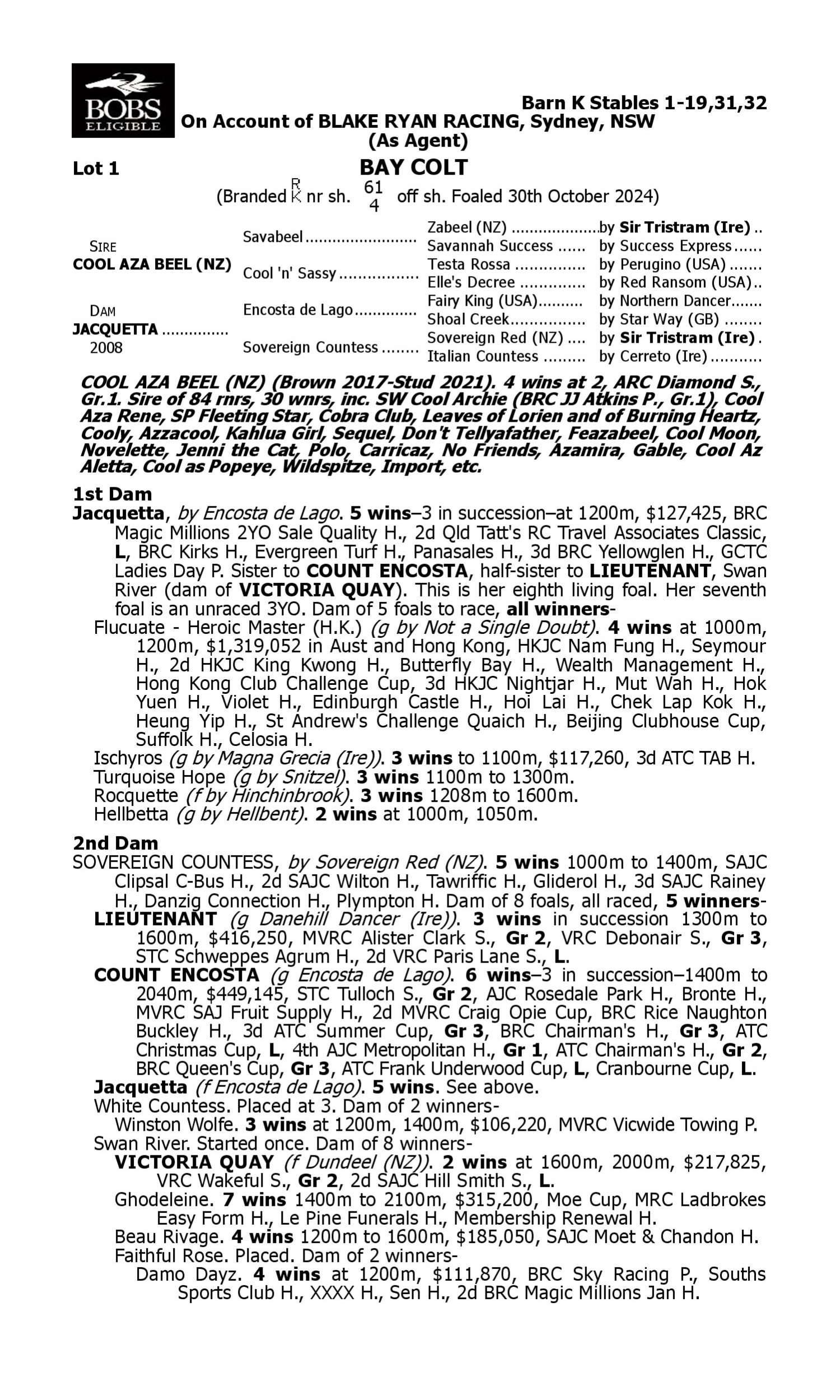 Pedigree for Lot 1 Cool Aza Beel (NZ) - Jacquetta