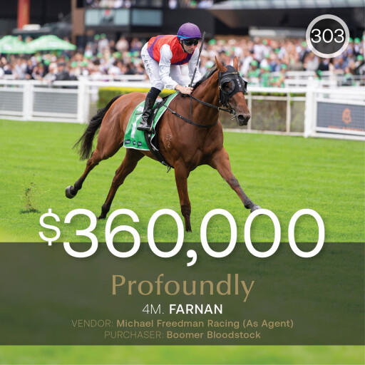 Sale-topper Profoundly realises $360,000 in August (Late) Sale
