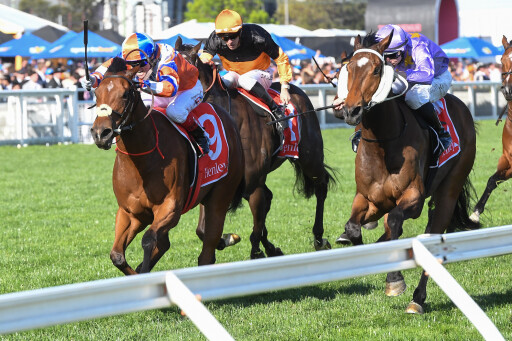 G1 filly Bellatrix Star confirmed for Inglis Digital