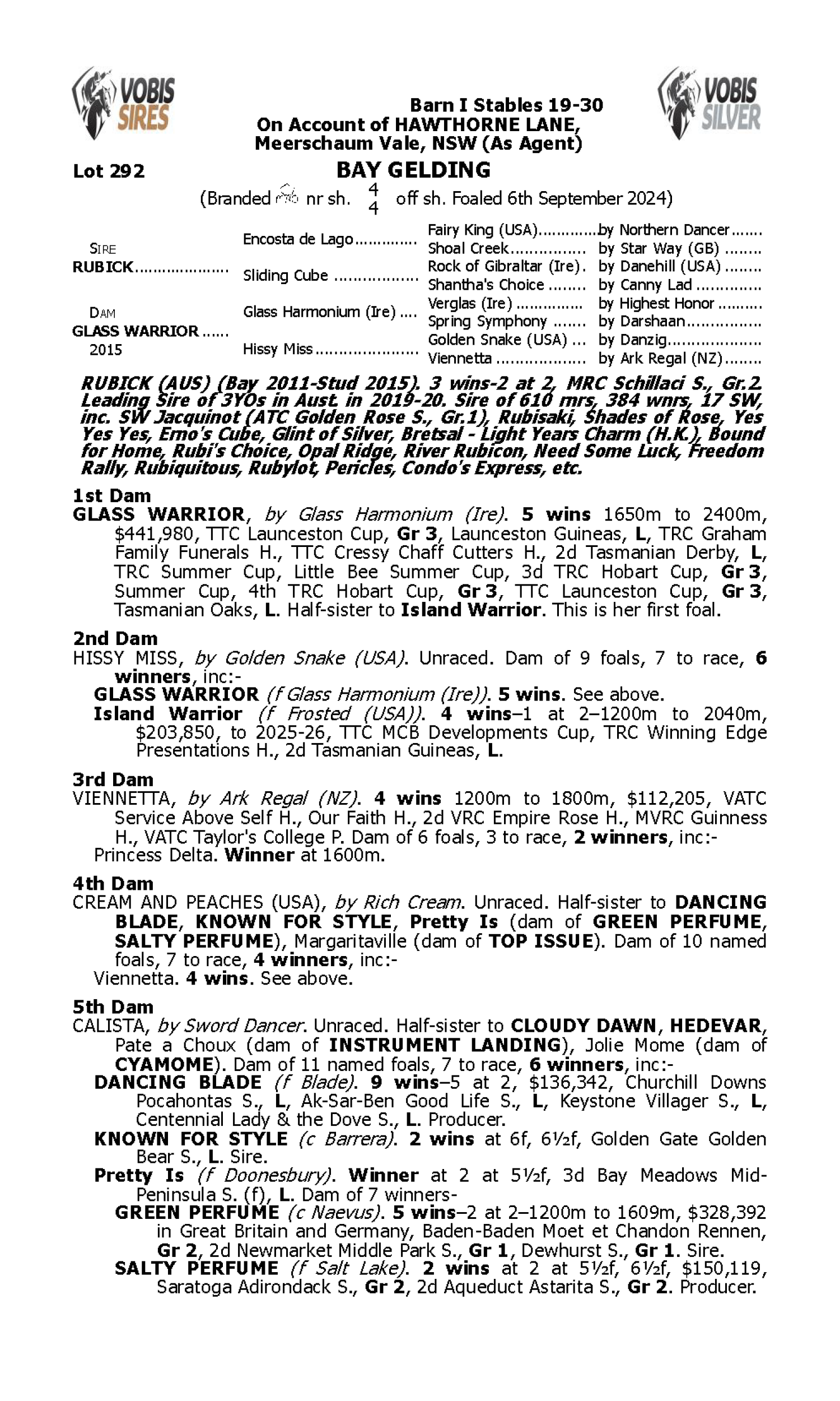 Pedigree for Lot 292 Rubick - Glass Warrior
