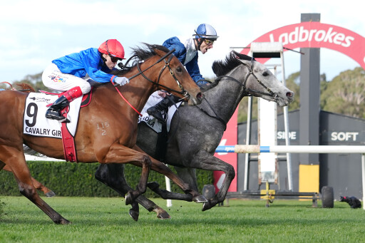 My Gladiola scores deserving G1 win in Moir Stakes