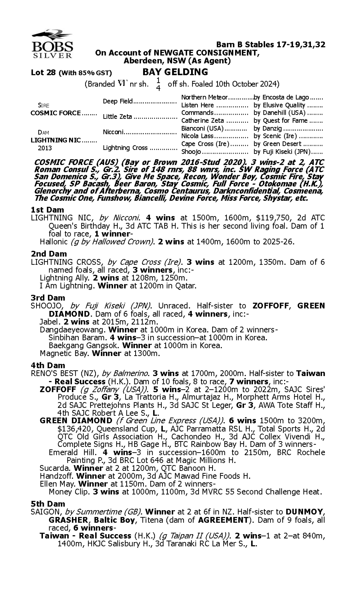 Pedigree for Lot 28 Cosmic Force - Lightning Nic
