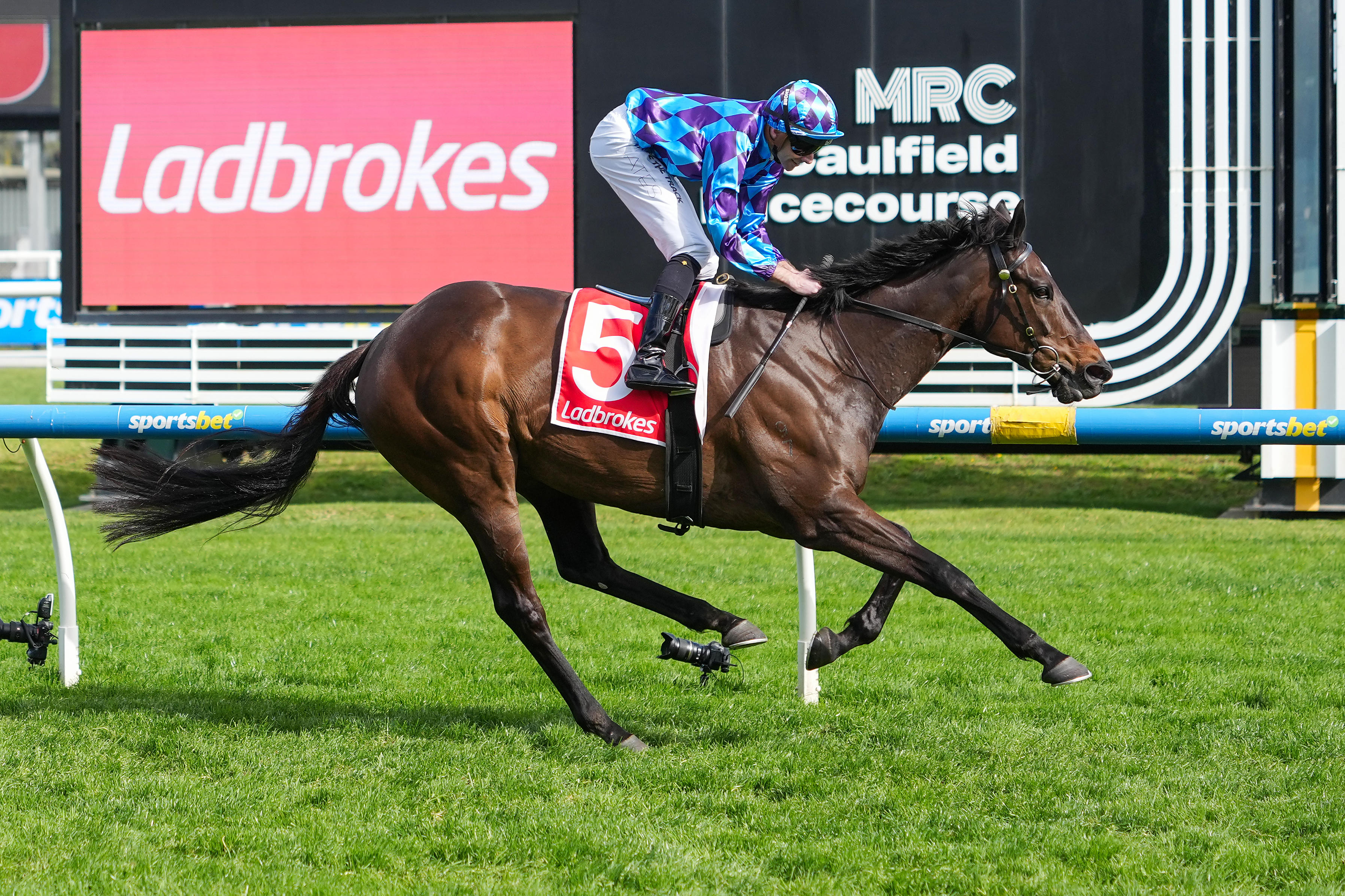 Pride of Jenni stuns with magnificent return victory