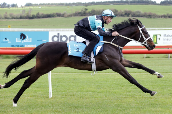 Lot 18: Noverre (NZ) / La Grisette (NZ)