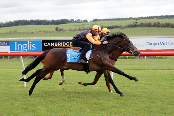 Lot 63: Sword of State / Paris (NZ)